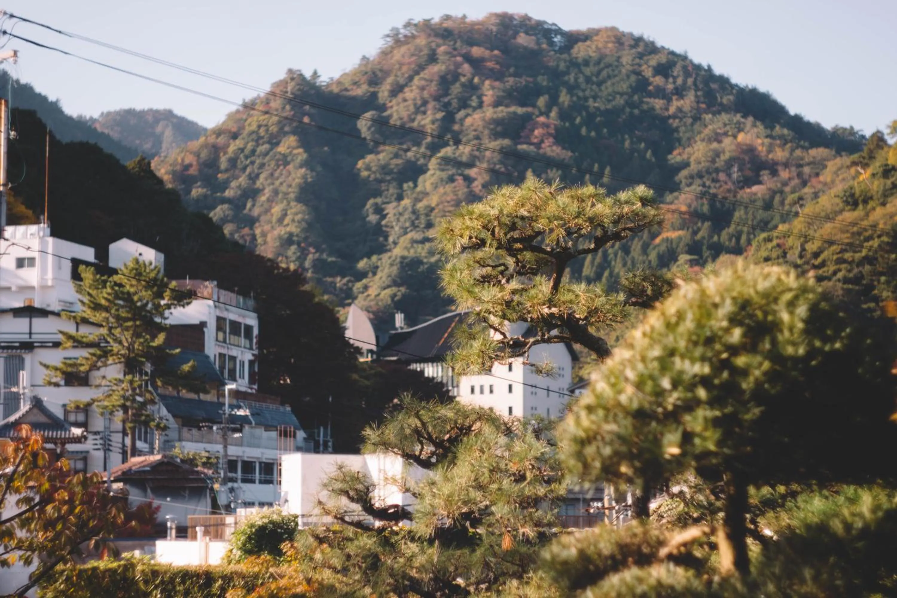 Neighbourhood in Waseido Zen