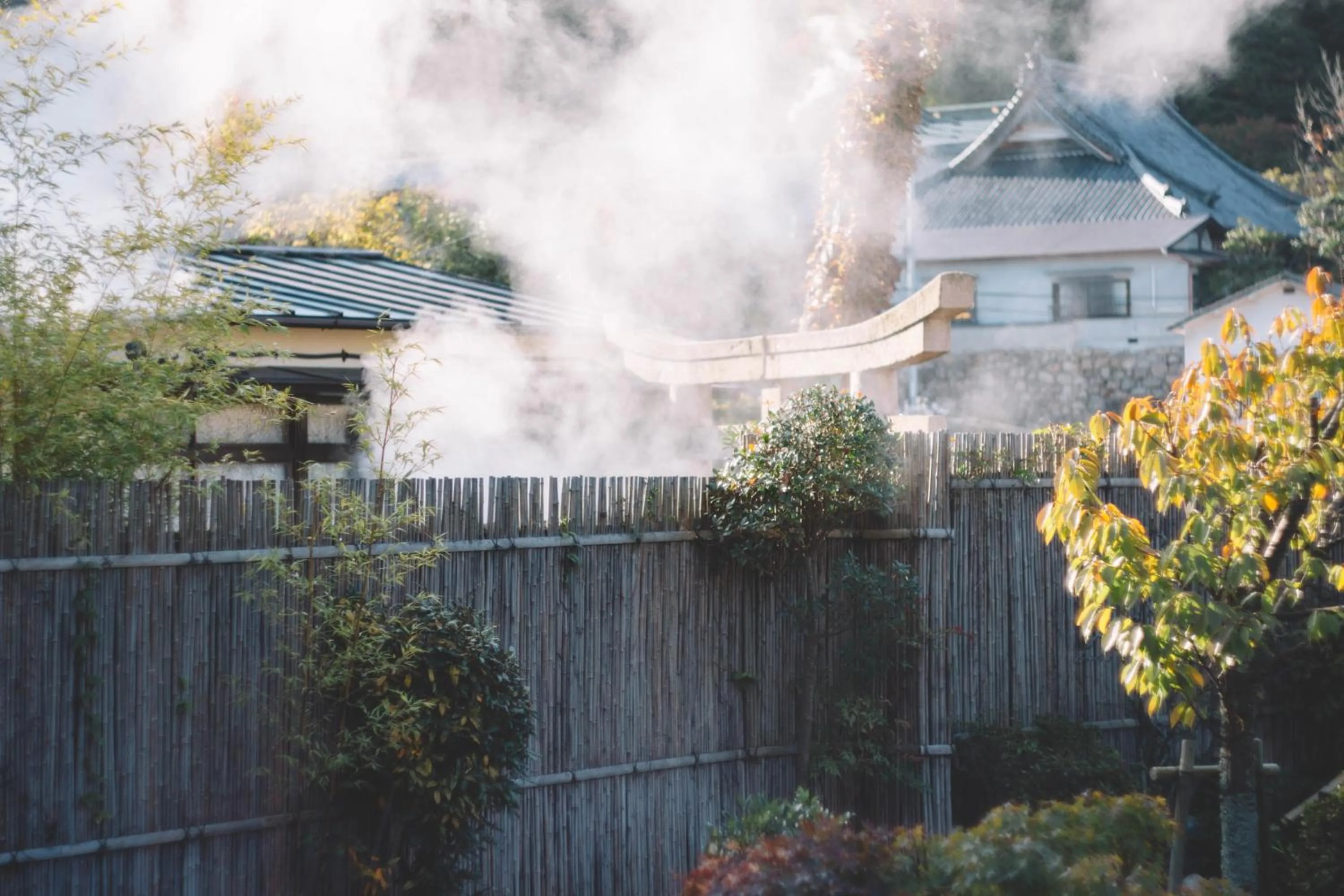 Property building in Waseido Zen