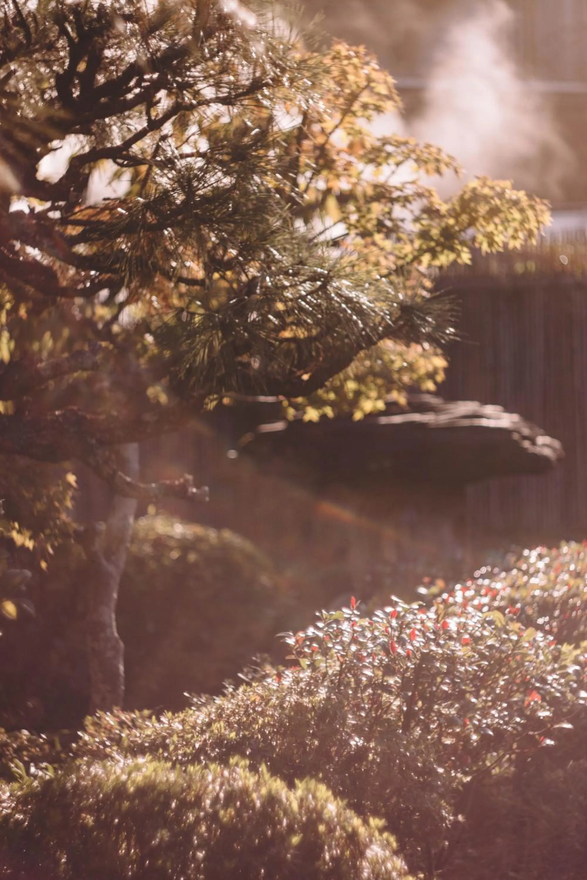 Garden in Waseido Zen