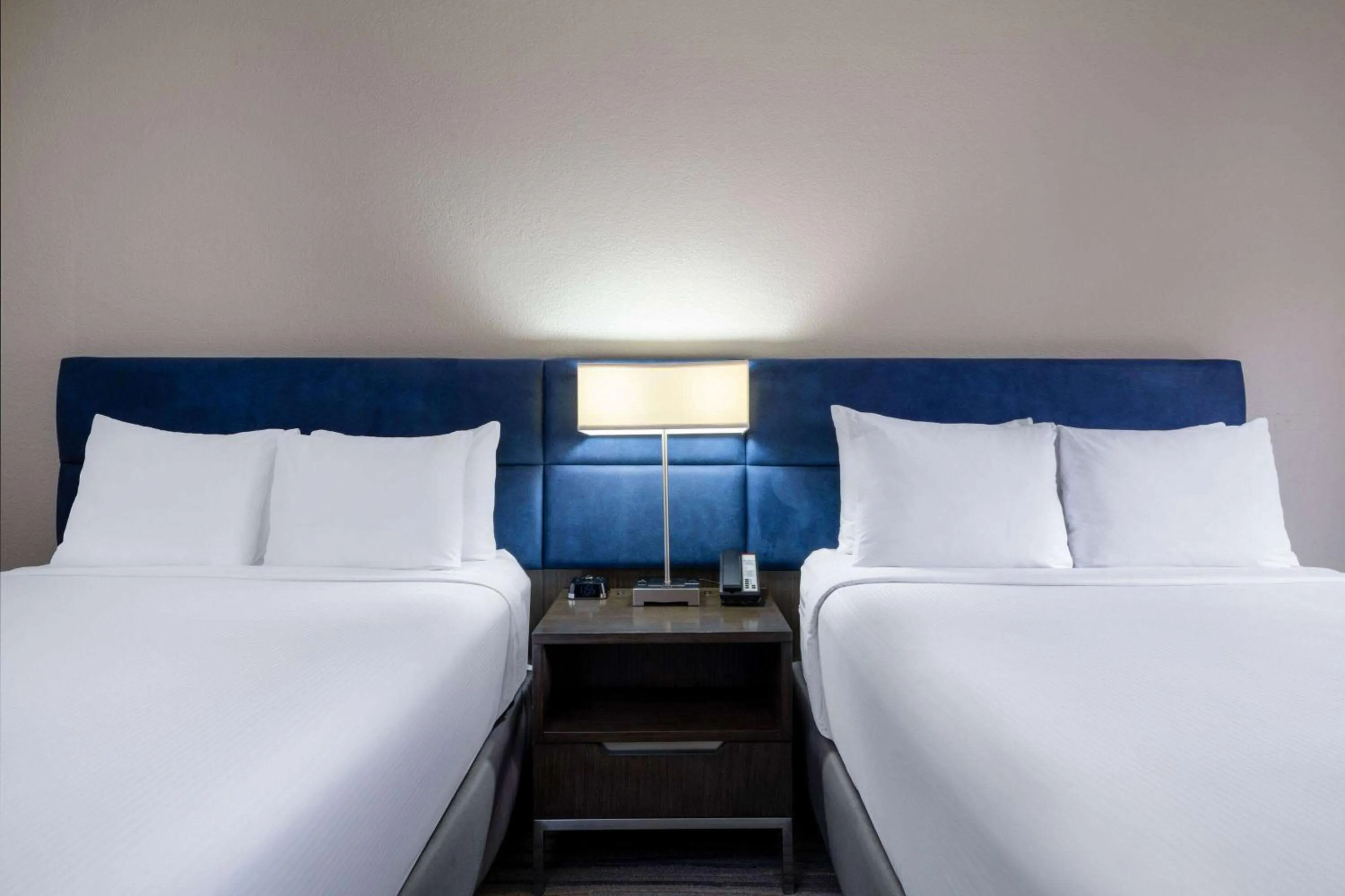 Photo of the whole room, Bed in Wyndham Boca Raton Hotel