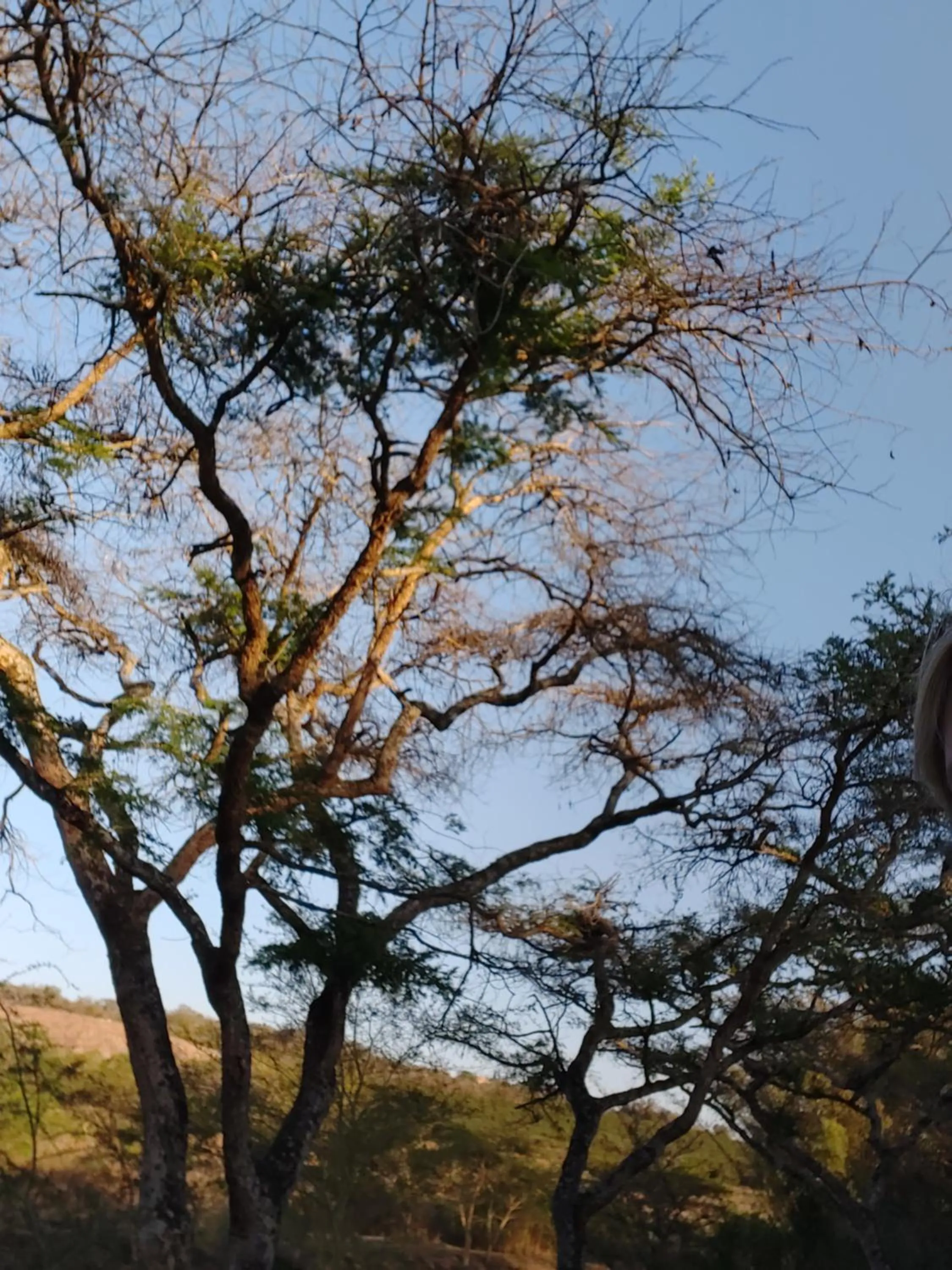 Natural landscape in Rockview Lodge