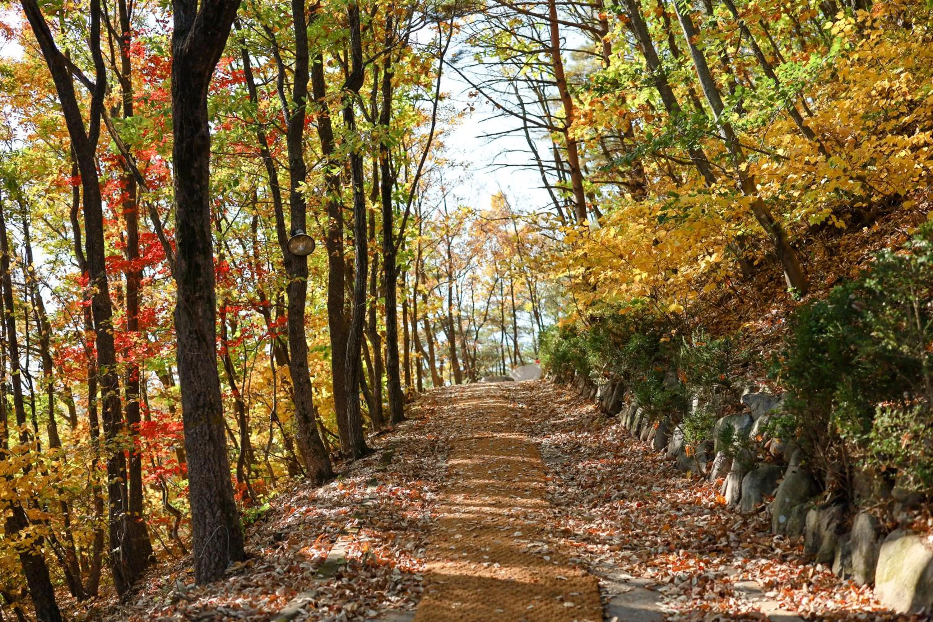 Natural landscape in Kensington Resort Seorak Valley