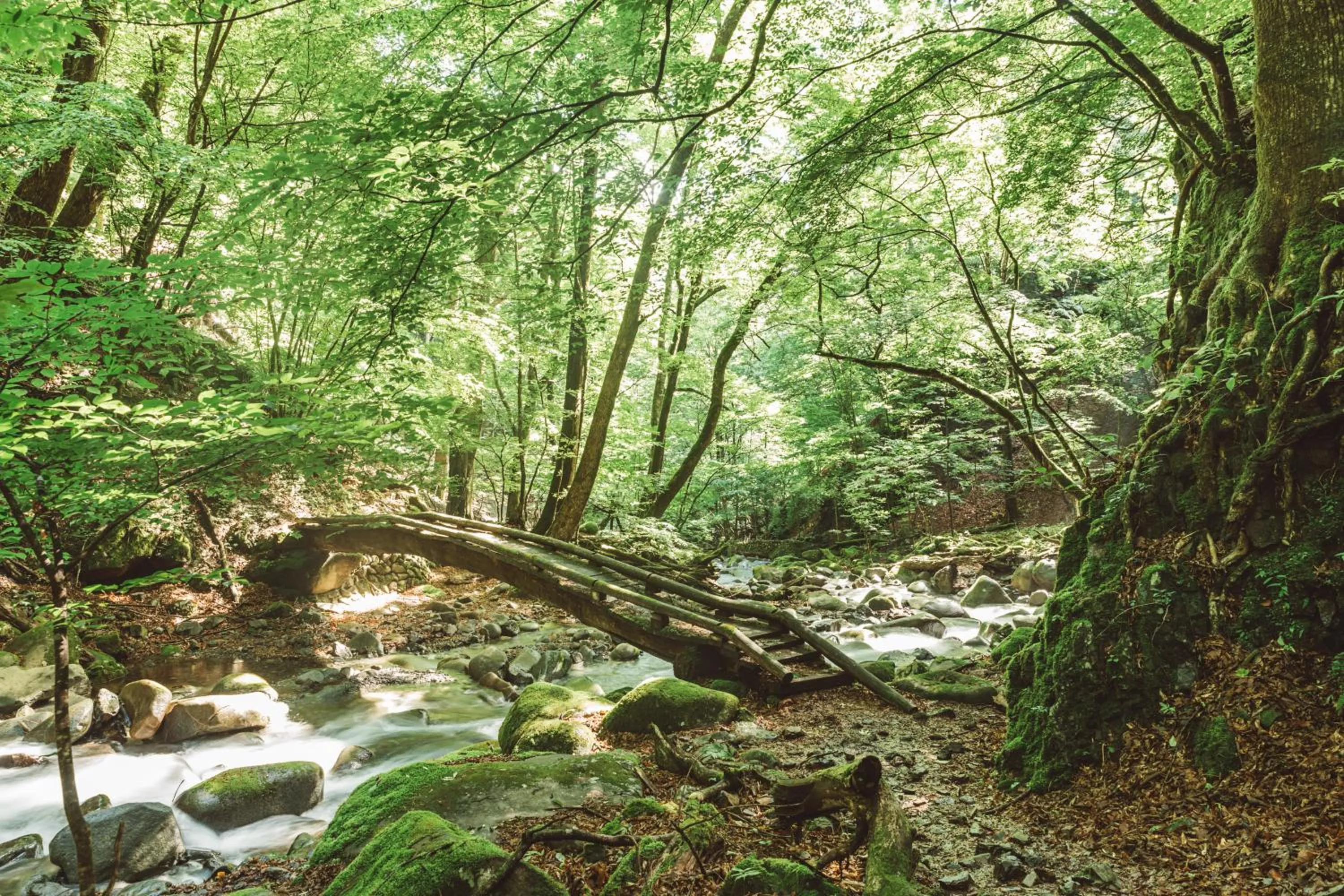 Off site in NIPPONIA Kosuge Village