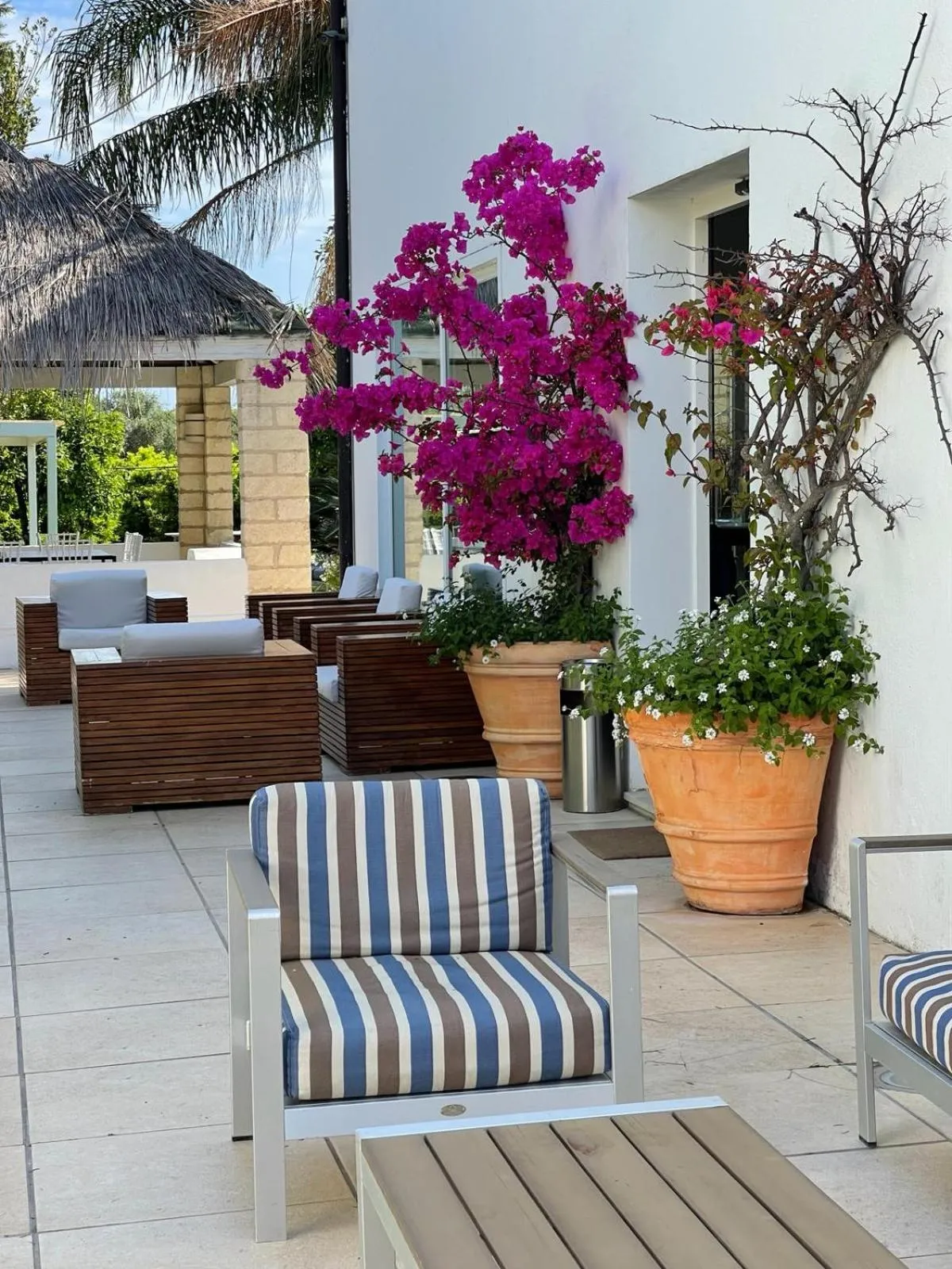 Property building in Casa Solares