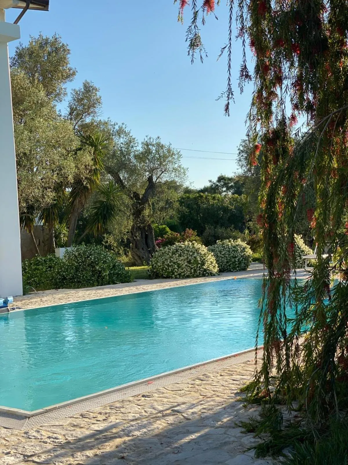 Swimming pool in Casa Solares
