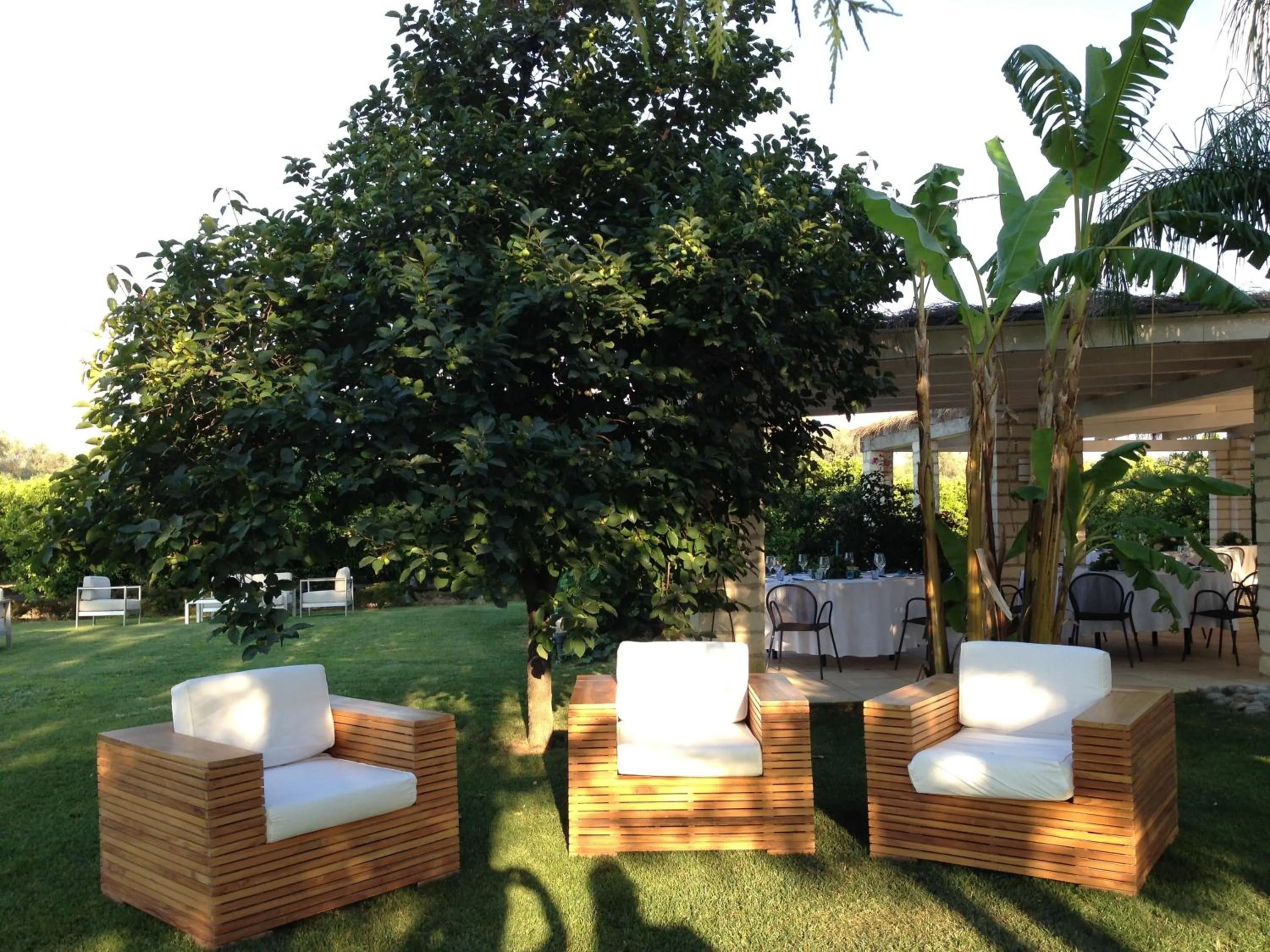 Garden in Casa Solares