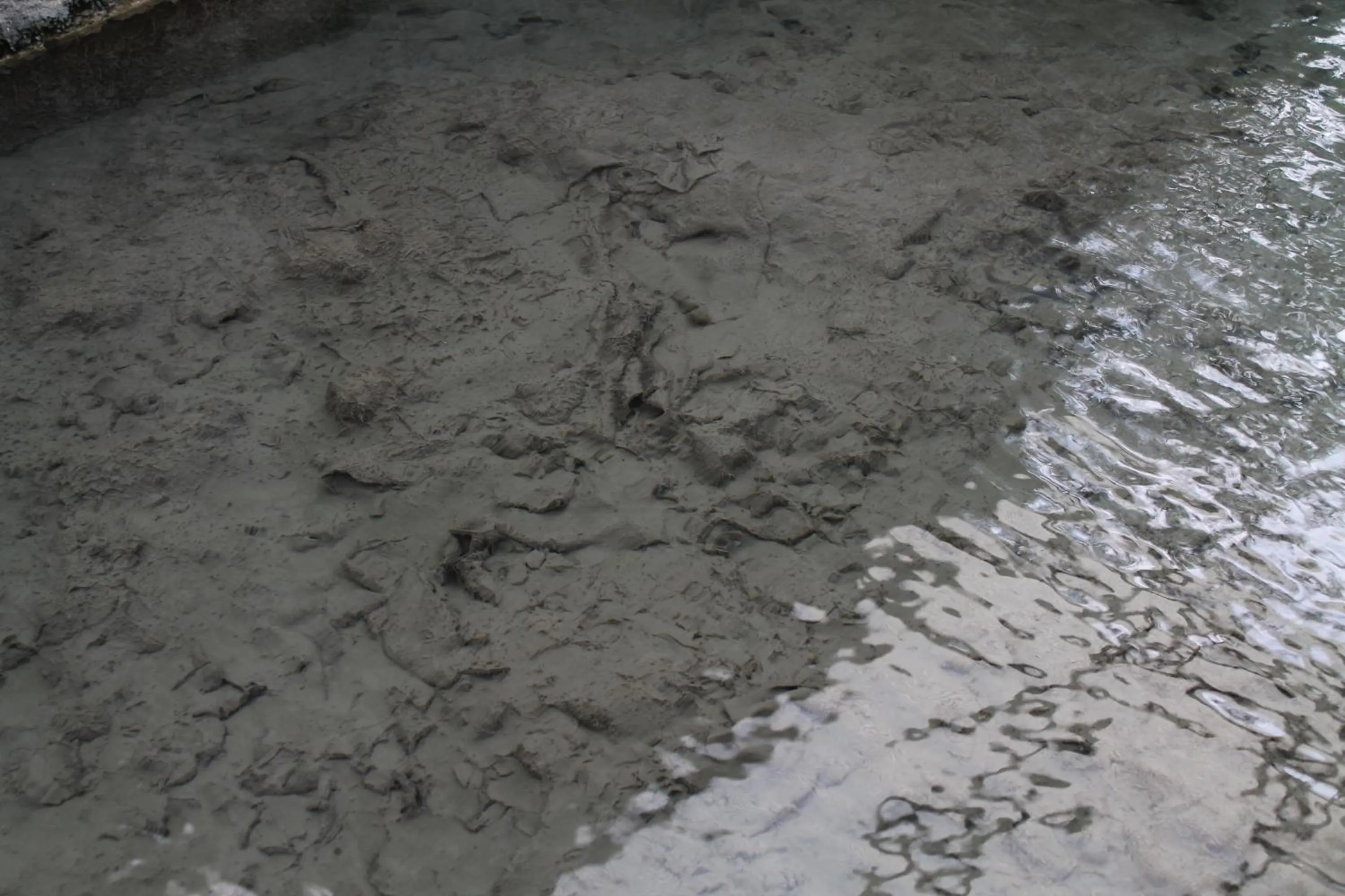 Logo/Certificate/Sign in Terme Villa Pace