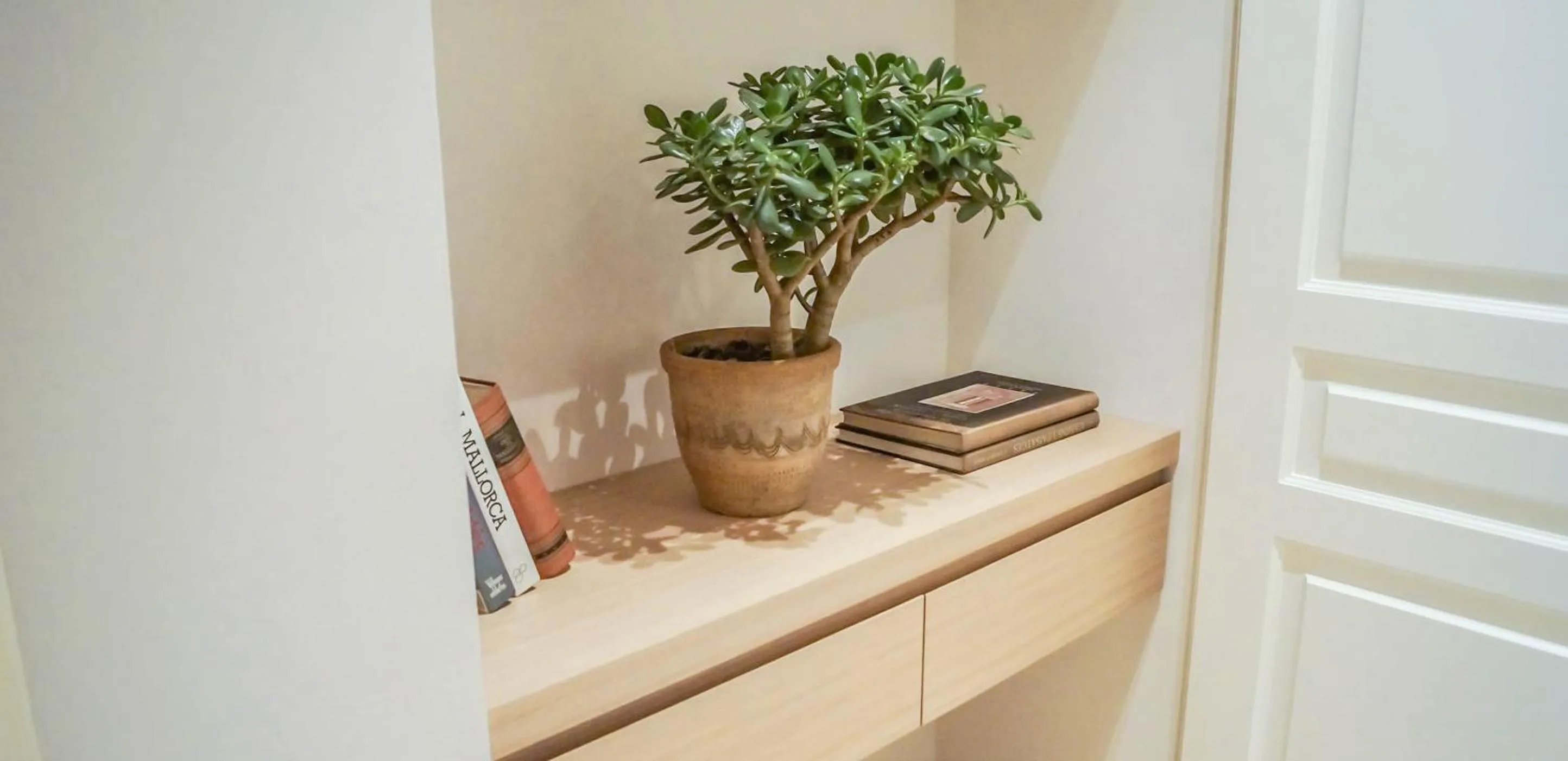 Library in The Boc Suites