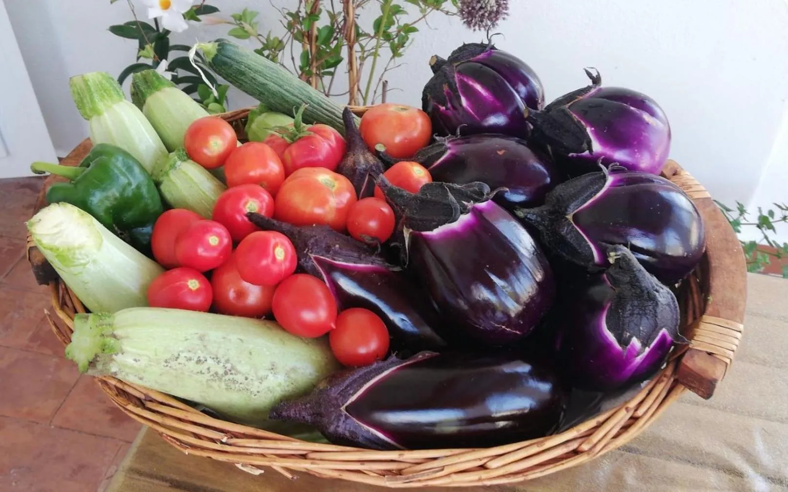 Garden in B&B Al Salvatore Di Lipari