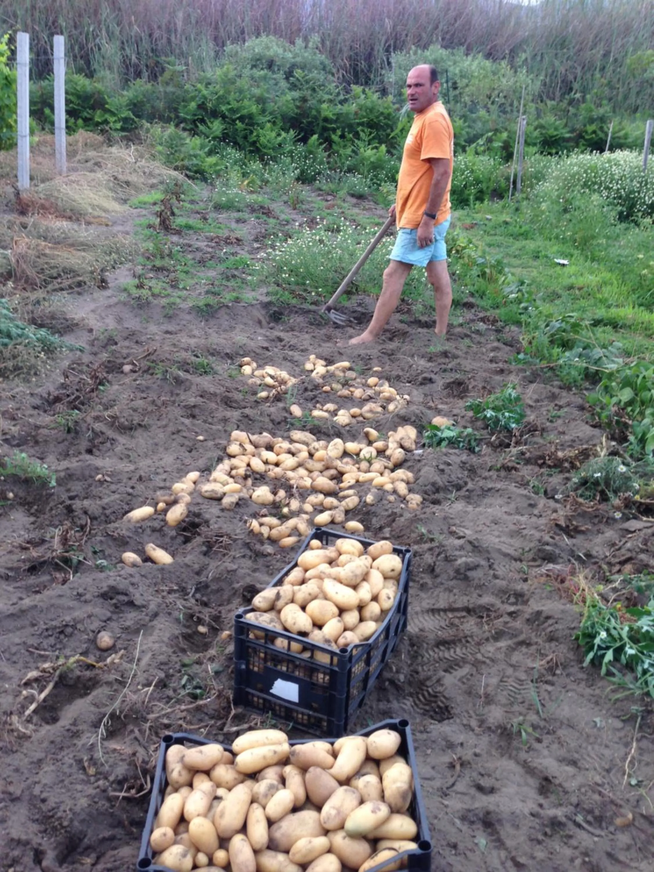 Day in B&B Al Salvatore Di Lipari