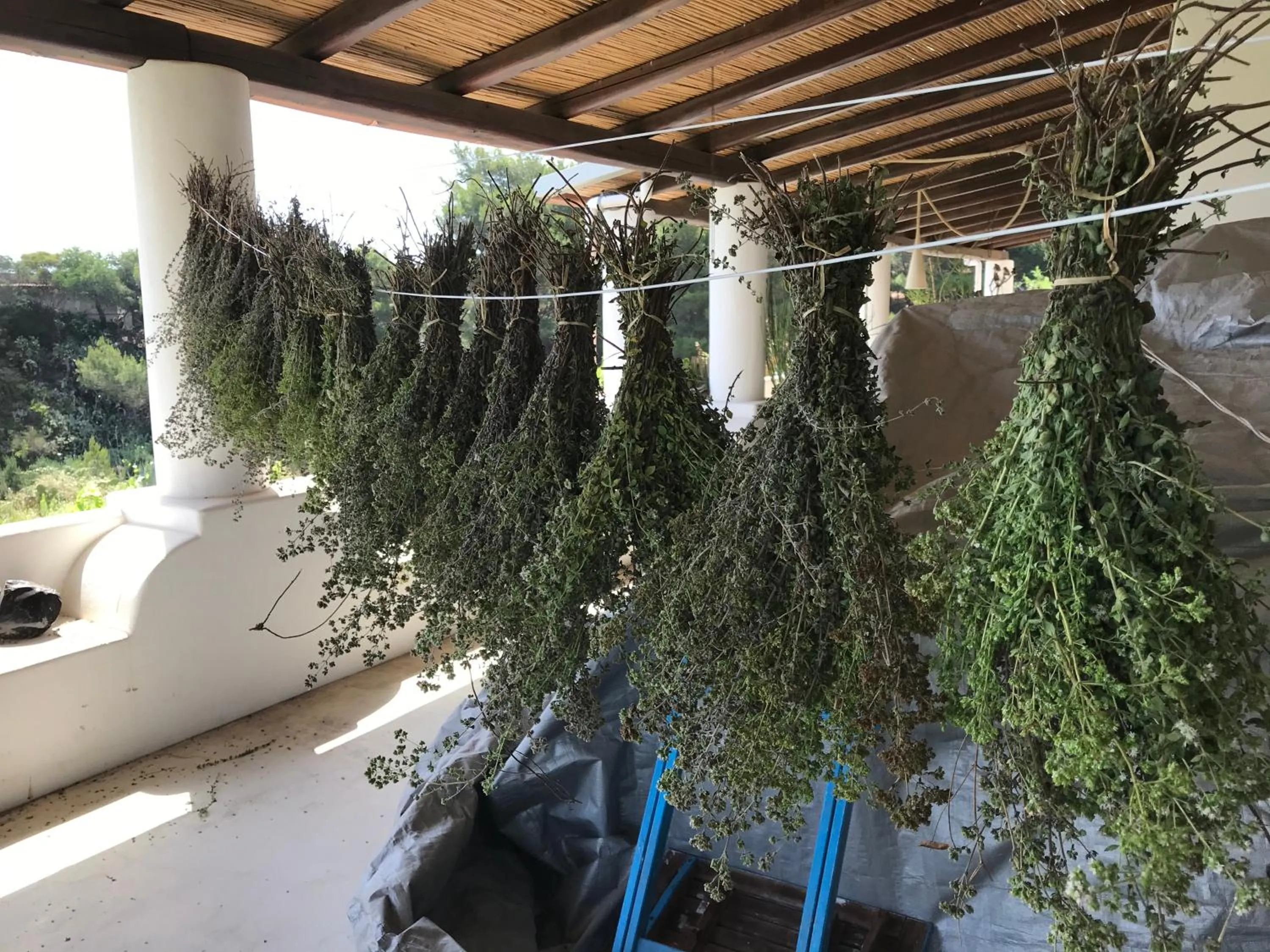 Food close-up in B&B Al Salvatore Di Lipari