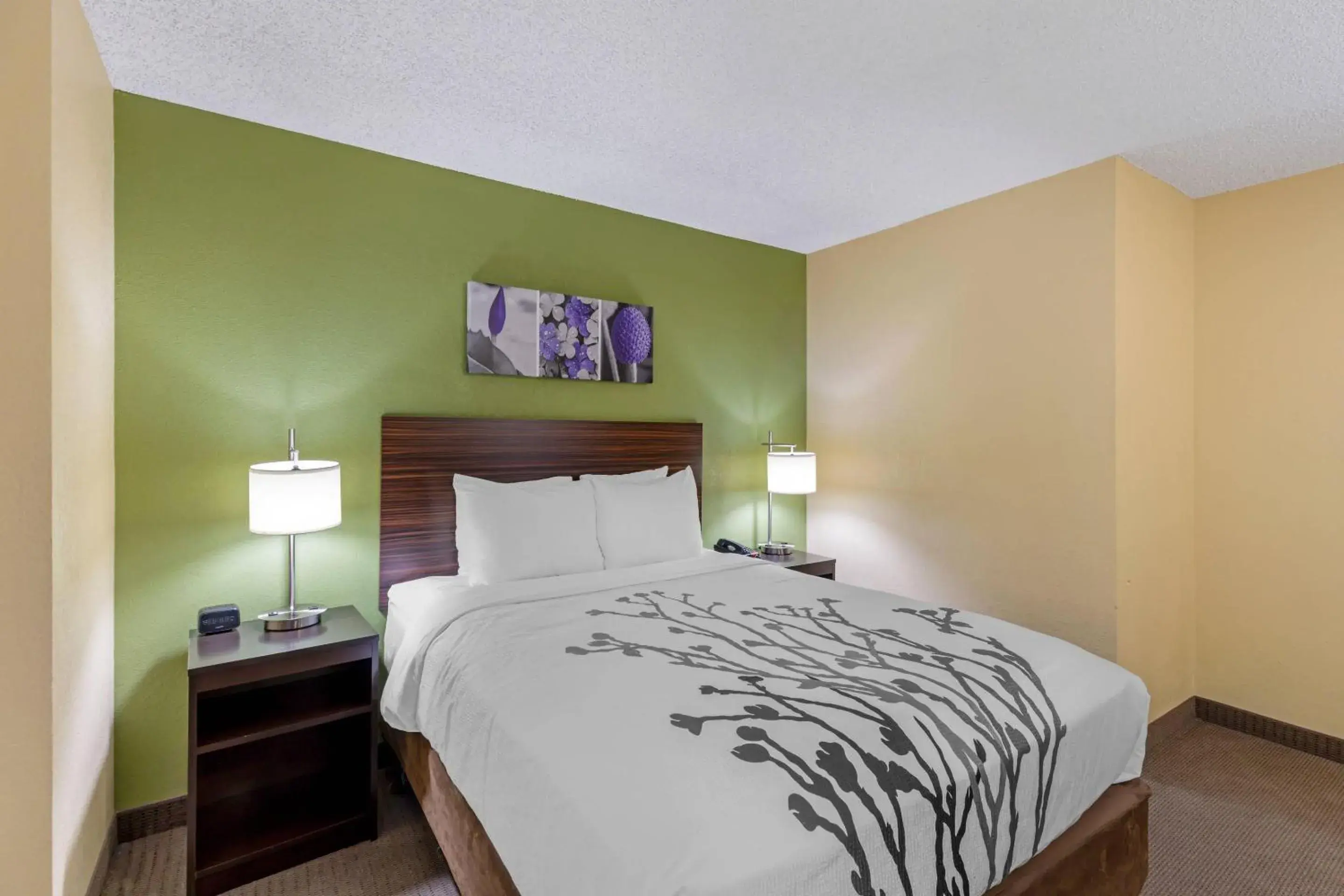 Queen Room in Sleep Inn Denver Tech Center Queen Room in Sleep Inn Denver Tech Center