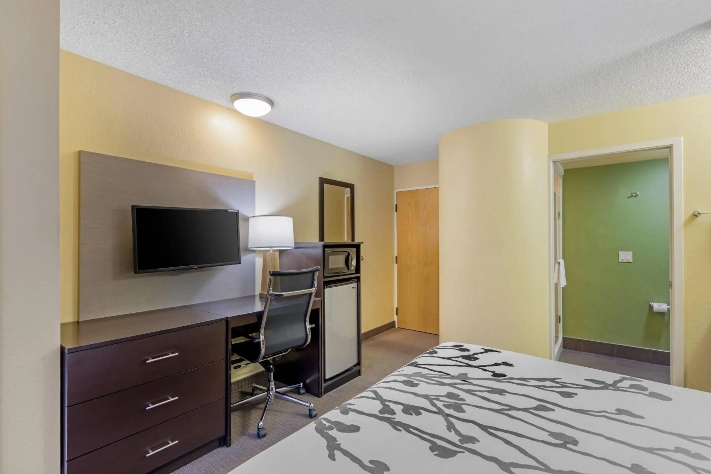 TV and multimedia, Bed in Sleep Inn Denver Tech Center