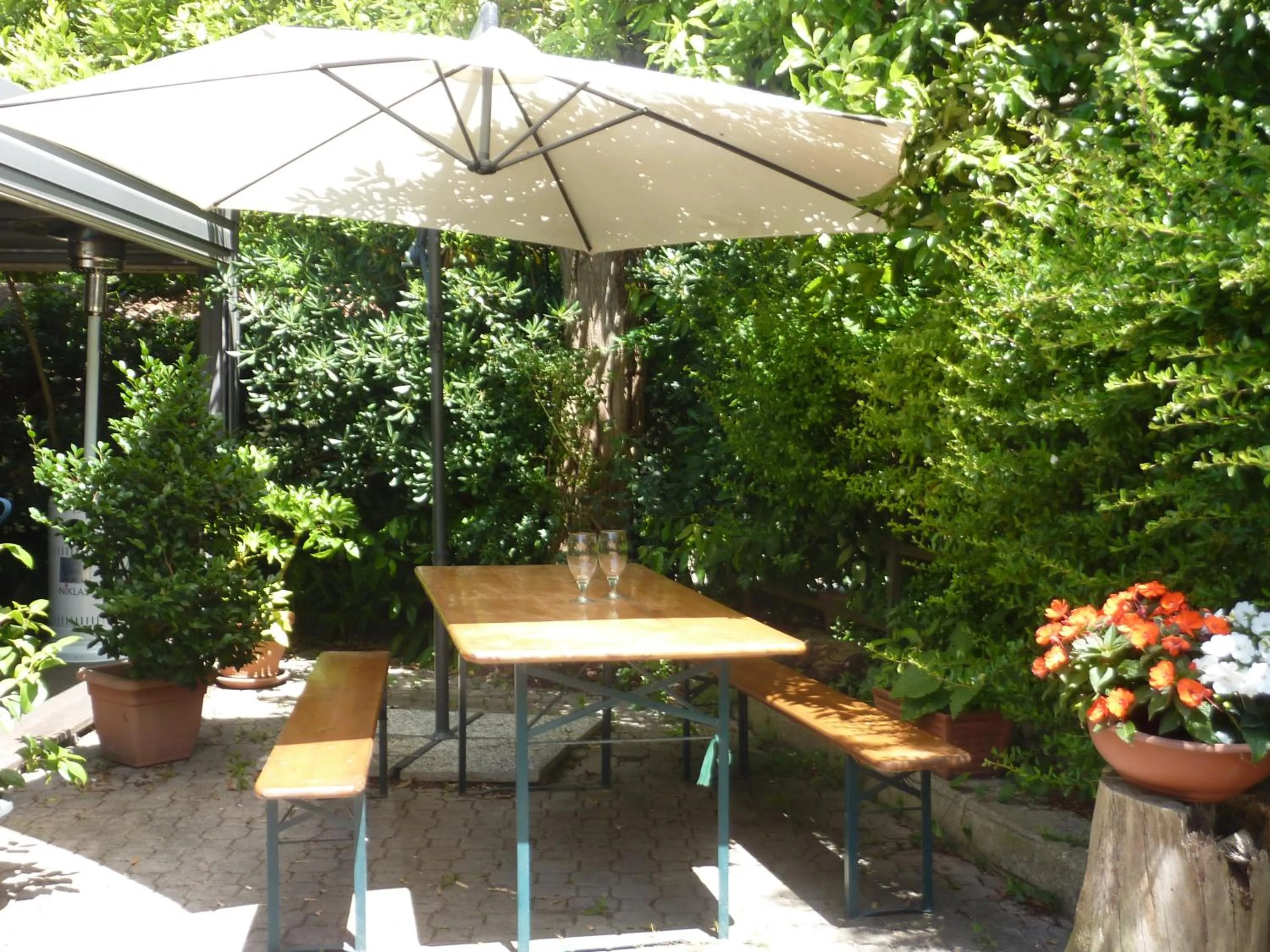 Garden view in Hotel Silvia Framura - Cinque Terre