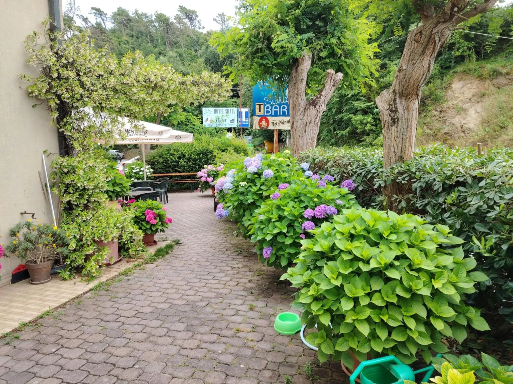 Garden view in Hotel Silvia Framura - Cinque Terre