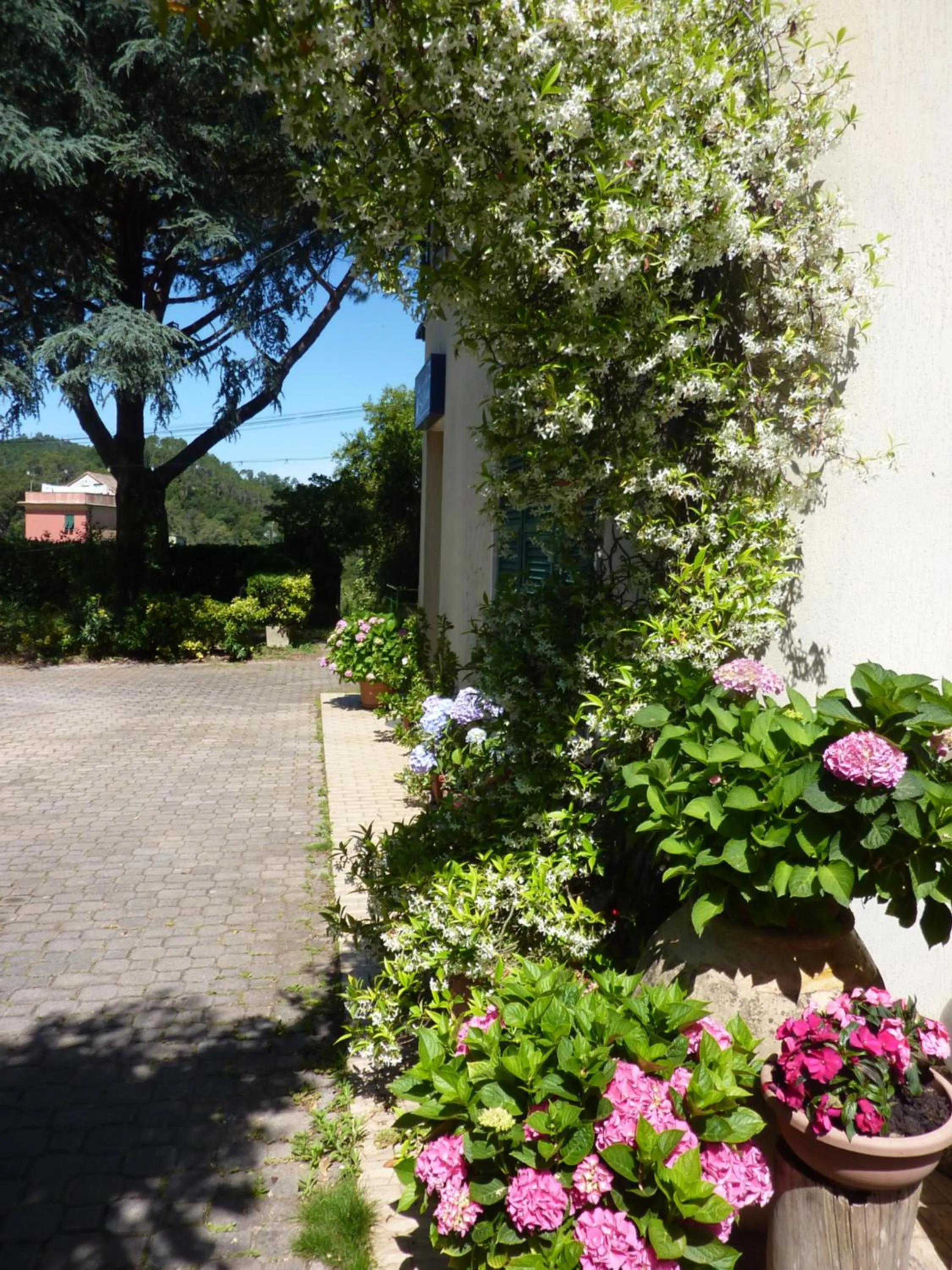 Spring in Hotel Silvia Framura - Cinque Terre