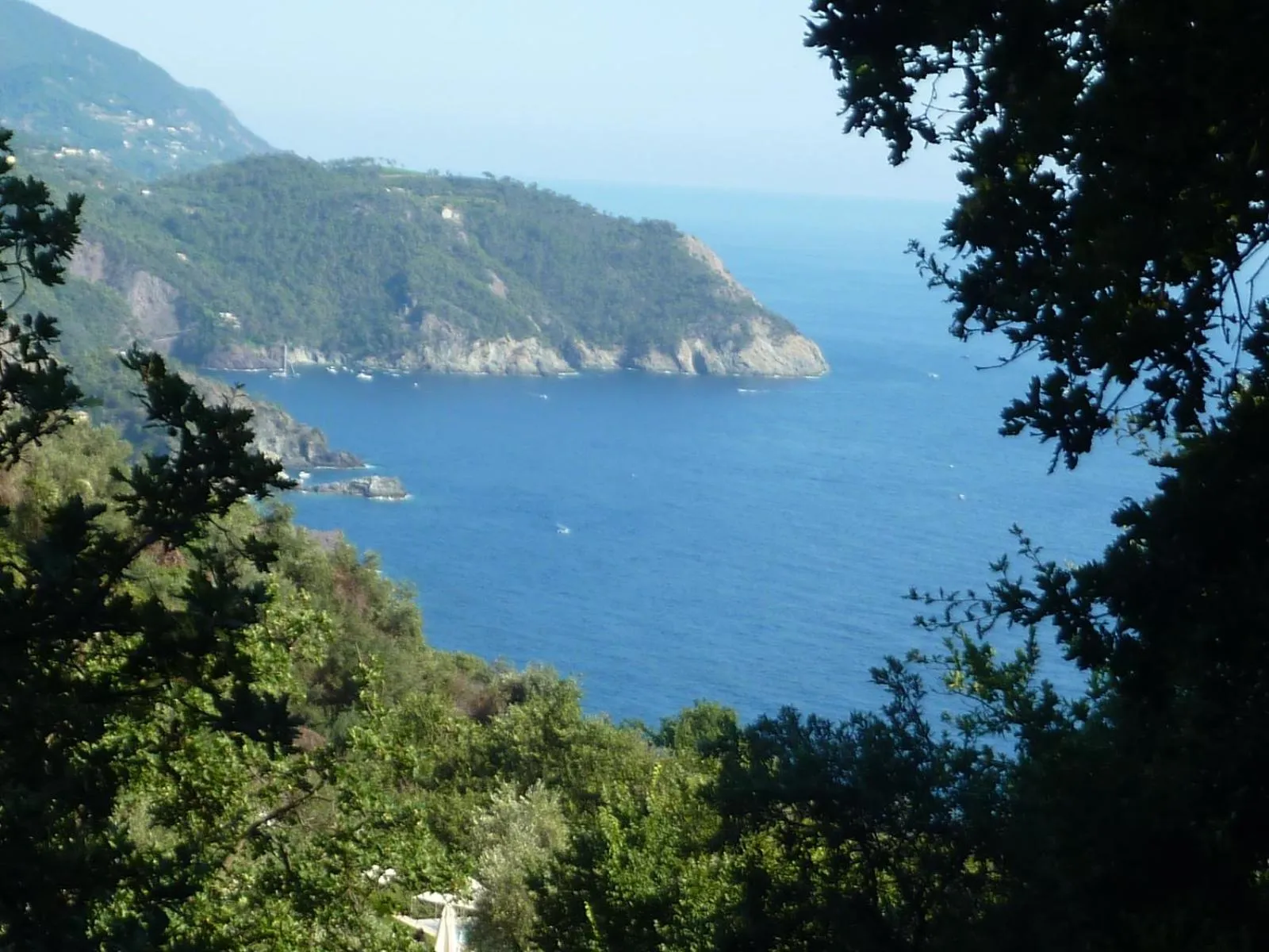 Natural landscape in Hotel Silvia Framura - Cinque Terre
