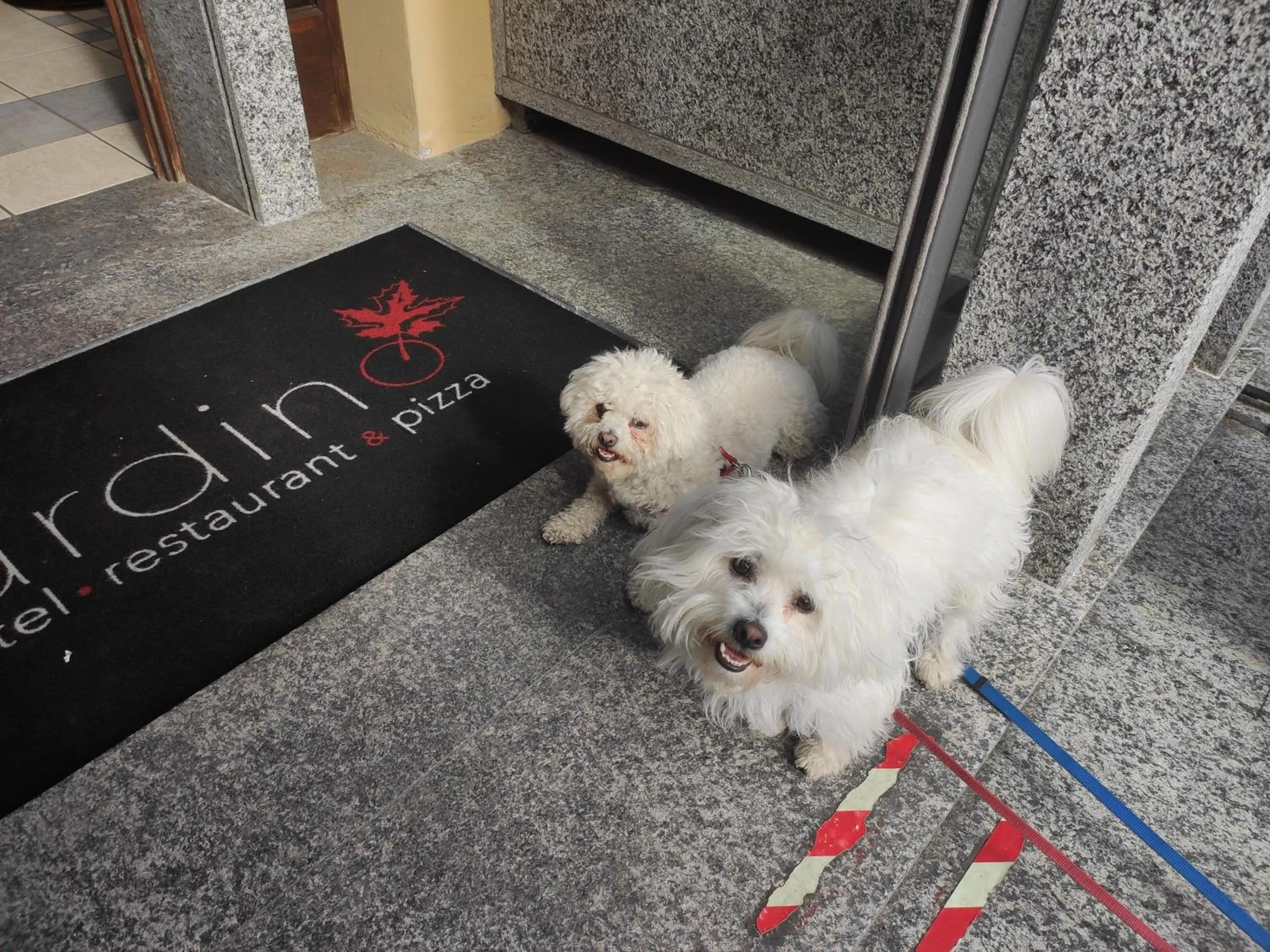 Pets in Hotel Giardino