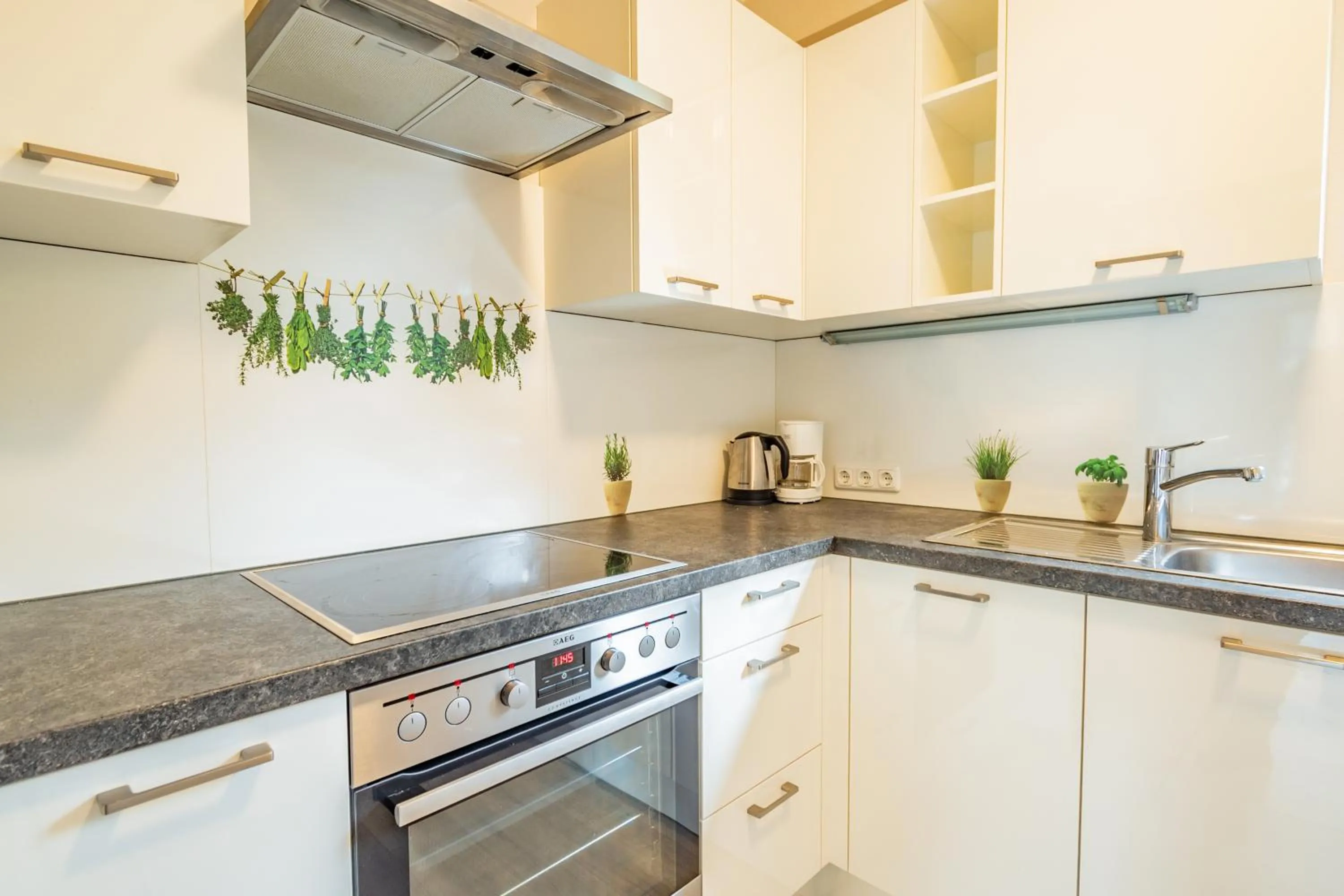 Kitchen or kitchenette in Aparthotel Panorama