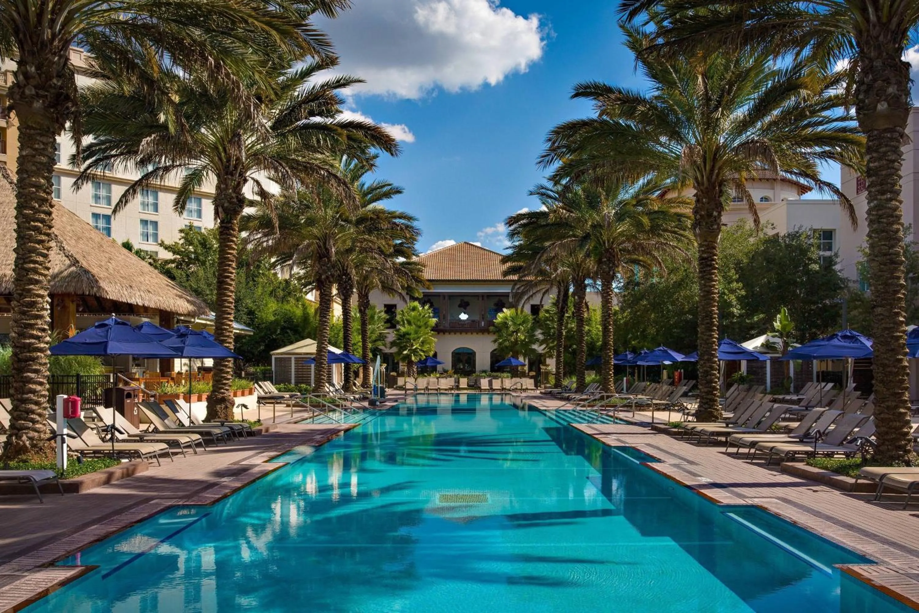 Swimming pool in Gaylord Palms Resort & Convention Center