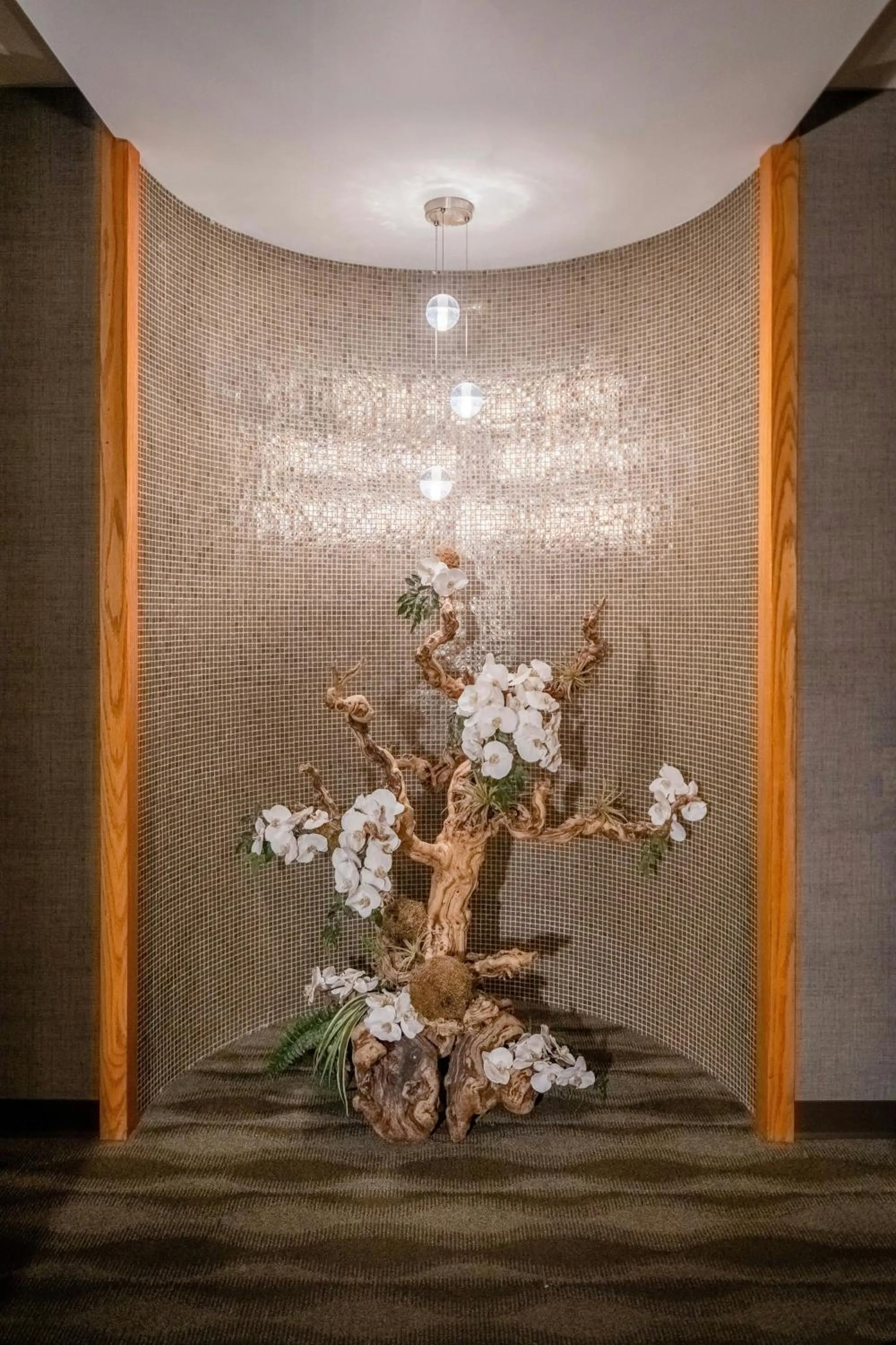 Spa and wellness centre/facilities in Gaylord Palms Resort & Convention Center