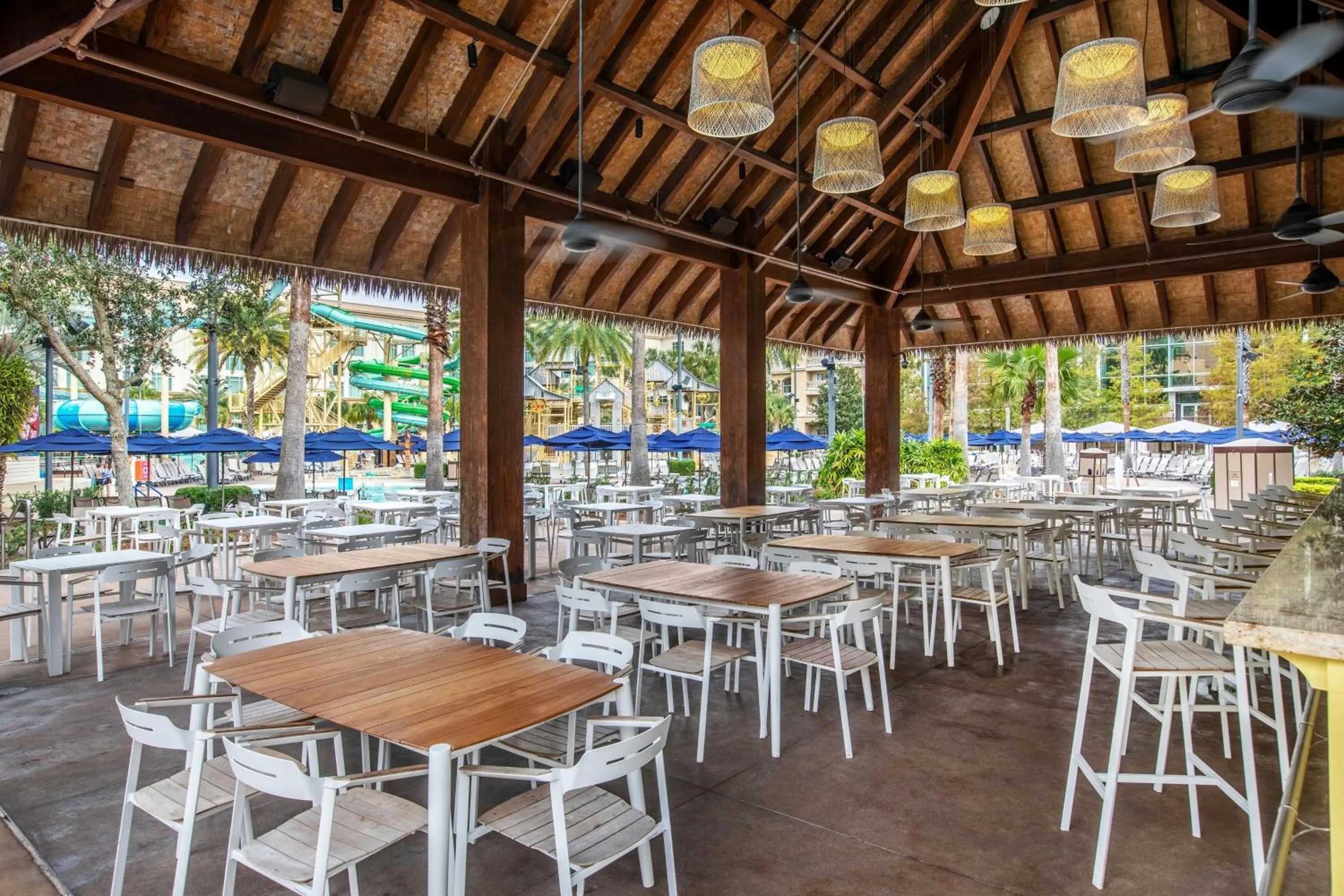 Lounge or bar in Gaylord Palms Resort & Convention Center