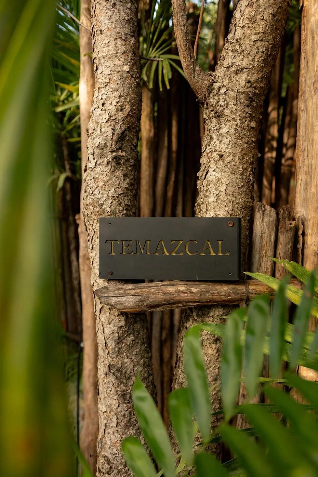 Spa and wellness centre/facilities in Hotel Bardo - Adults Only