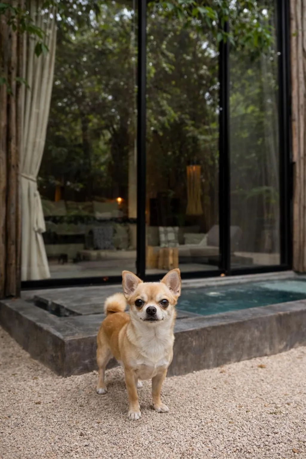 pet friendly in Hotel Bardo - Adults Only