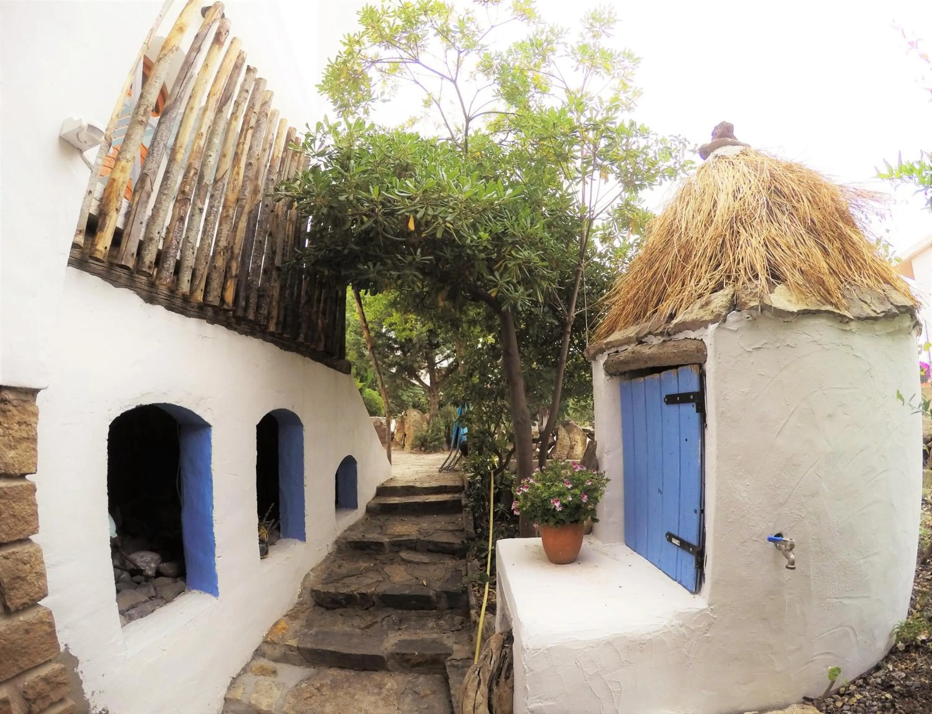 Property building in Vign'Alva