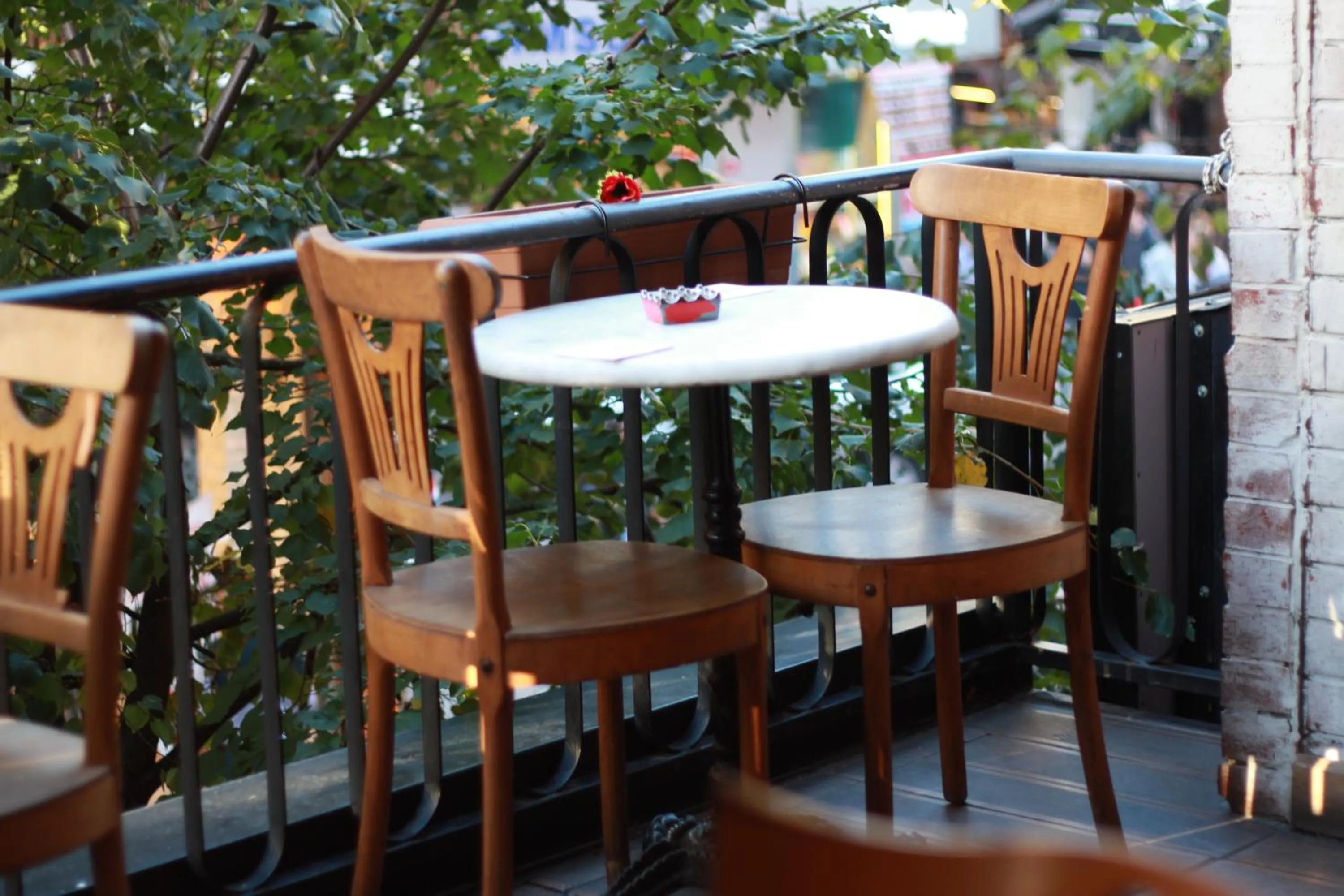 Restaurant/places to eat in Barkod Otel