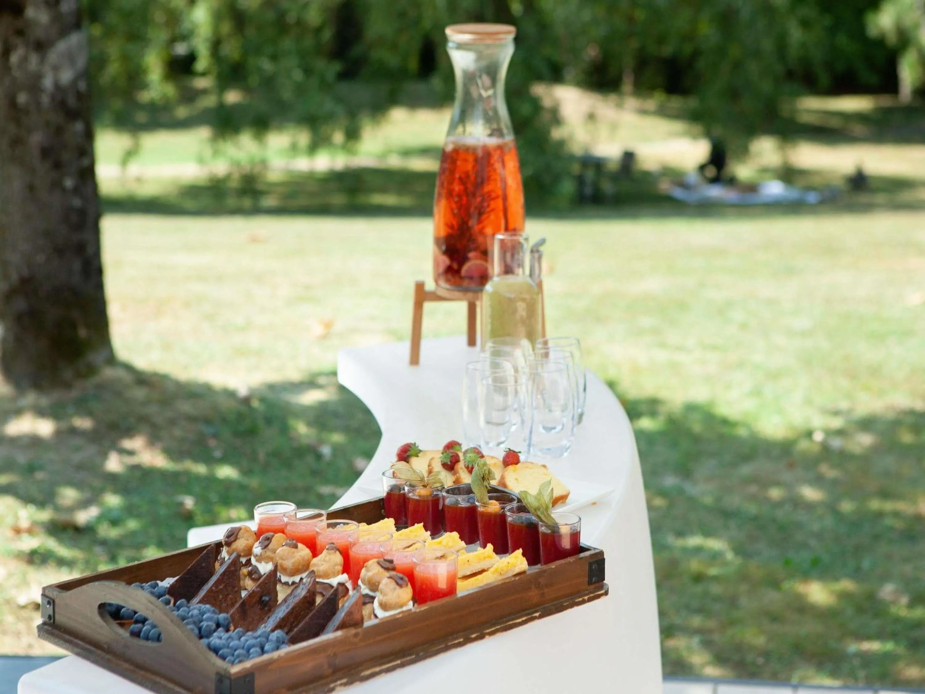 Meeting/conference room in Mercure Aix-les-Bains Domaine de Marlioz Hôtel & Spa