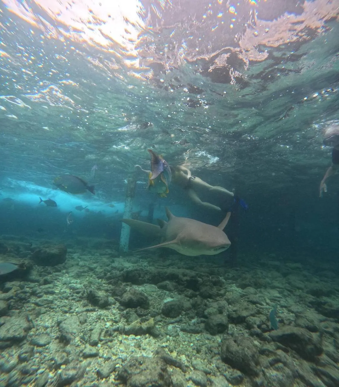 Snorkeling in Nirili Villa