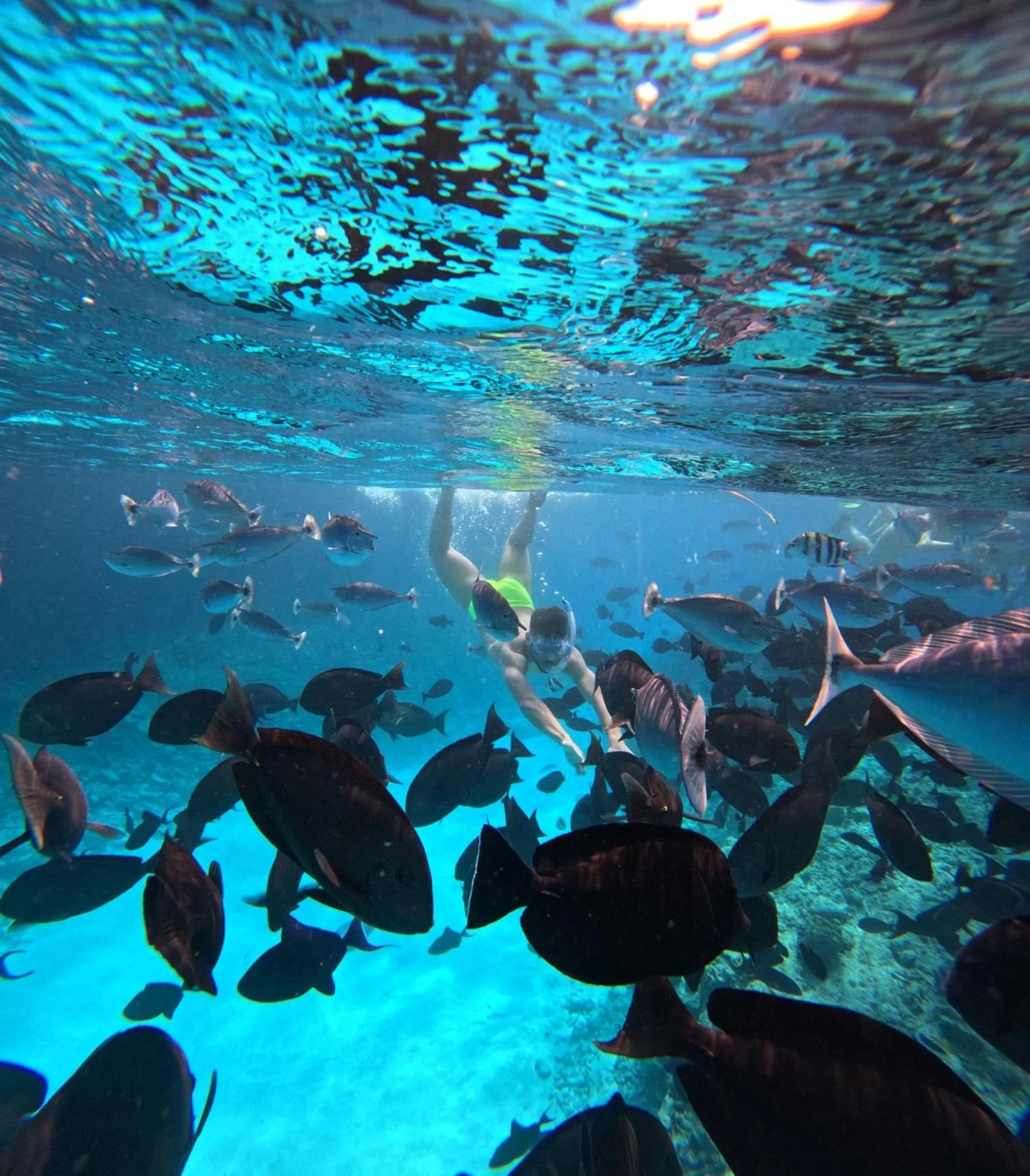 Snorkeling in Nirili Villa