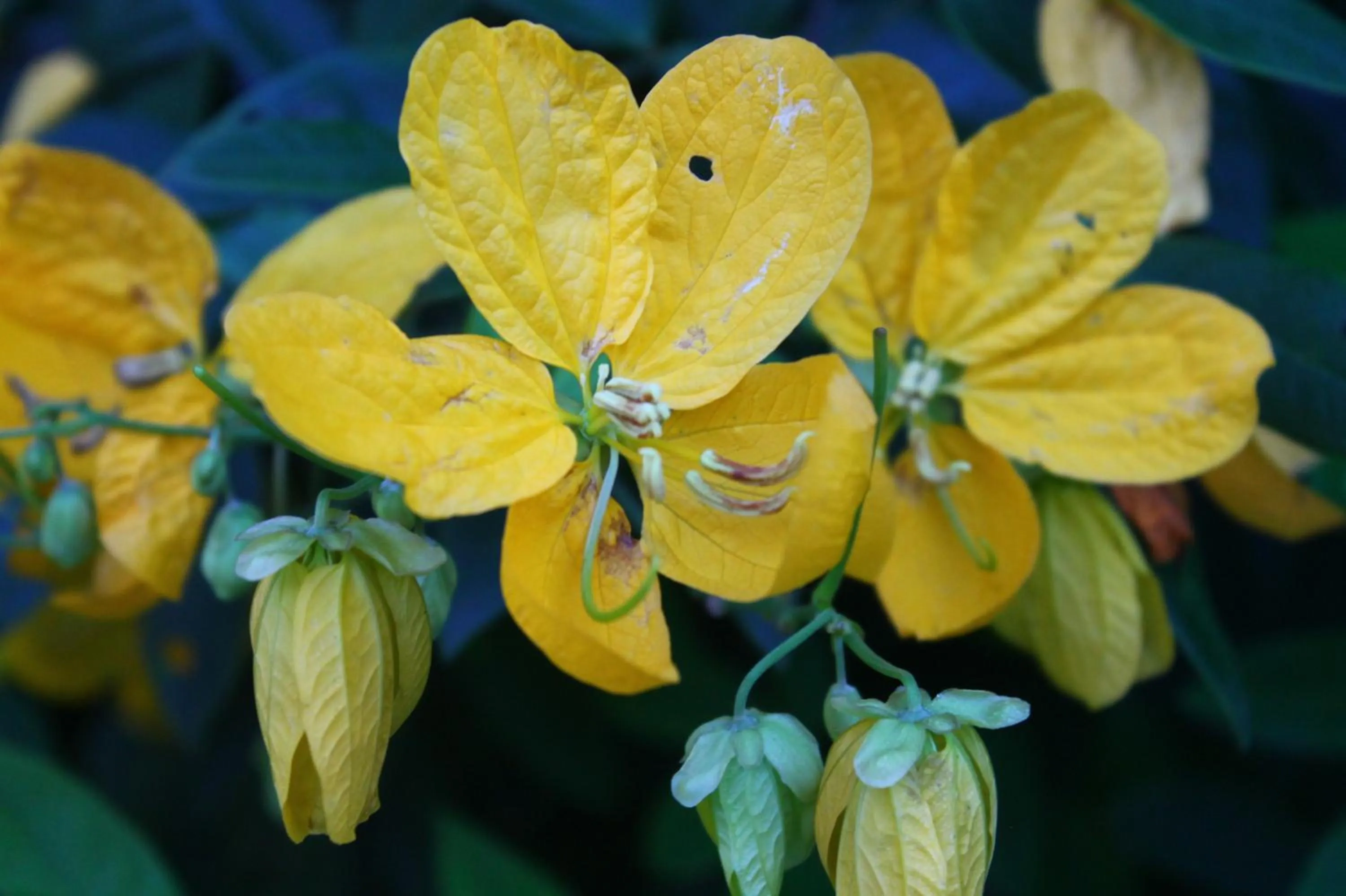 Property building in Umoya