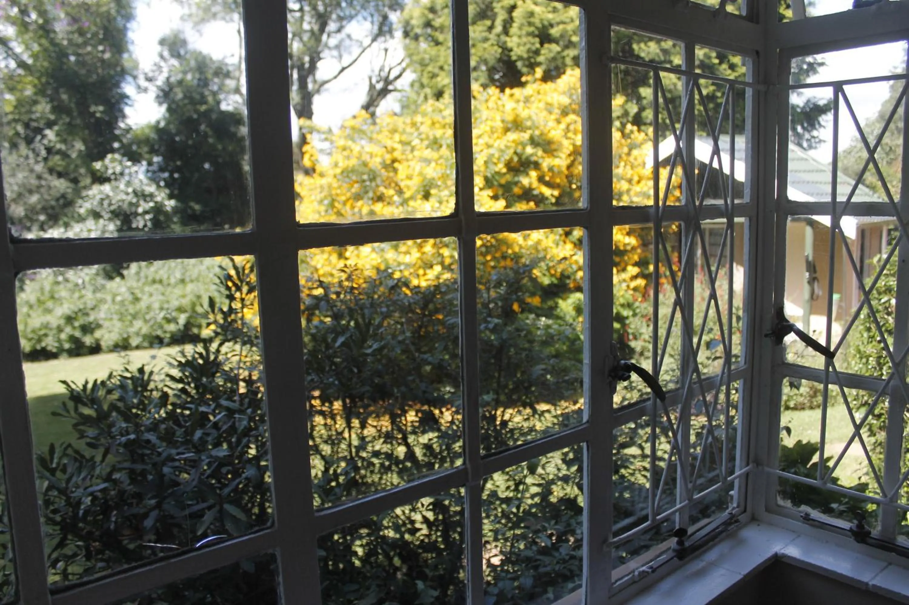 Property building in Umoya