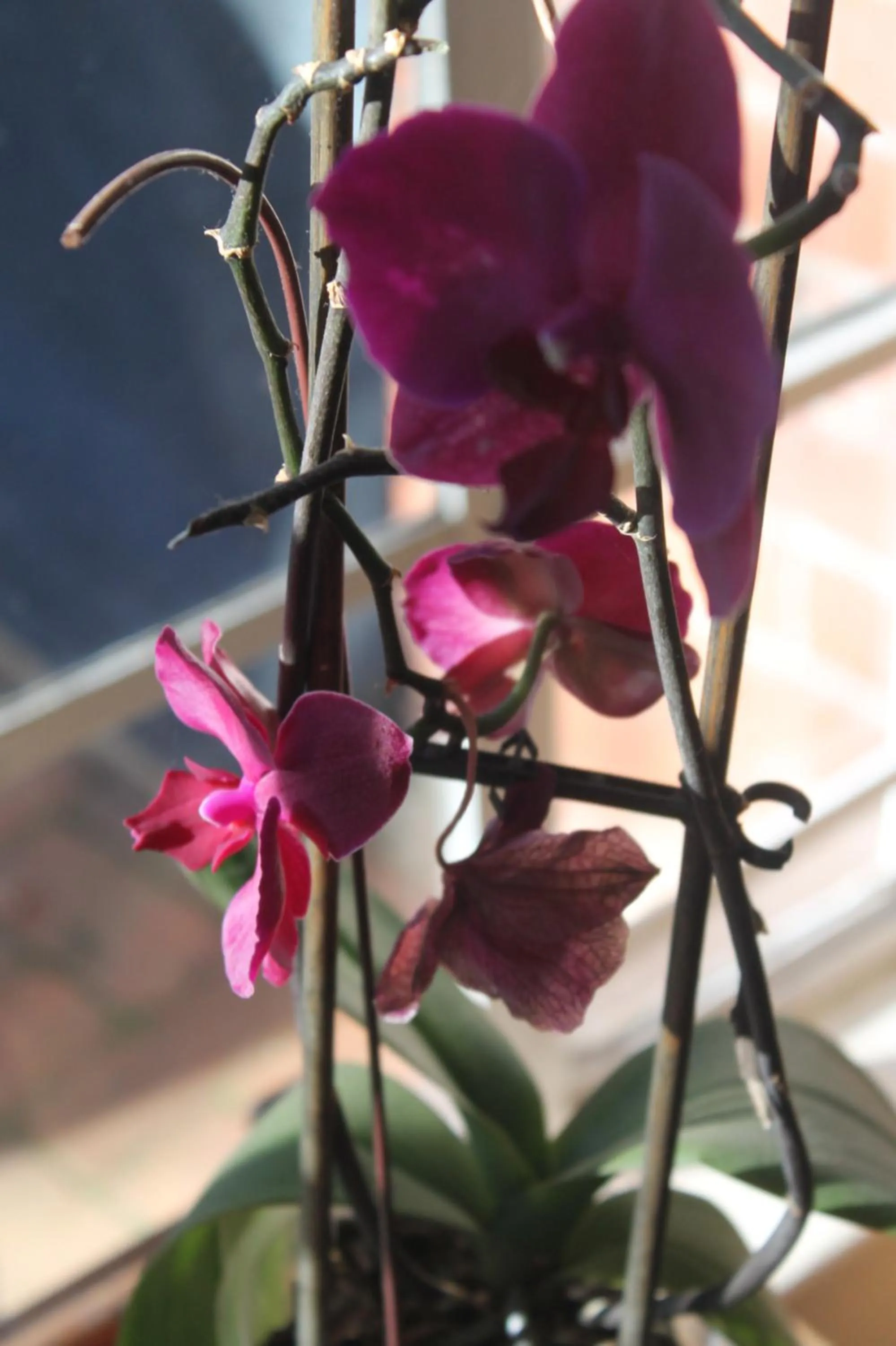 Property building in Umoya