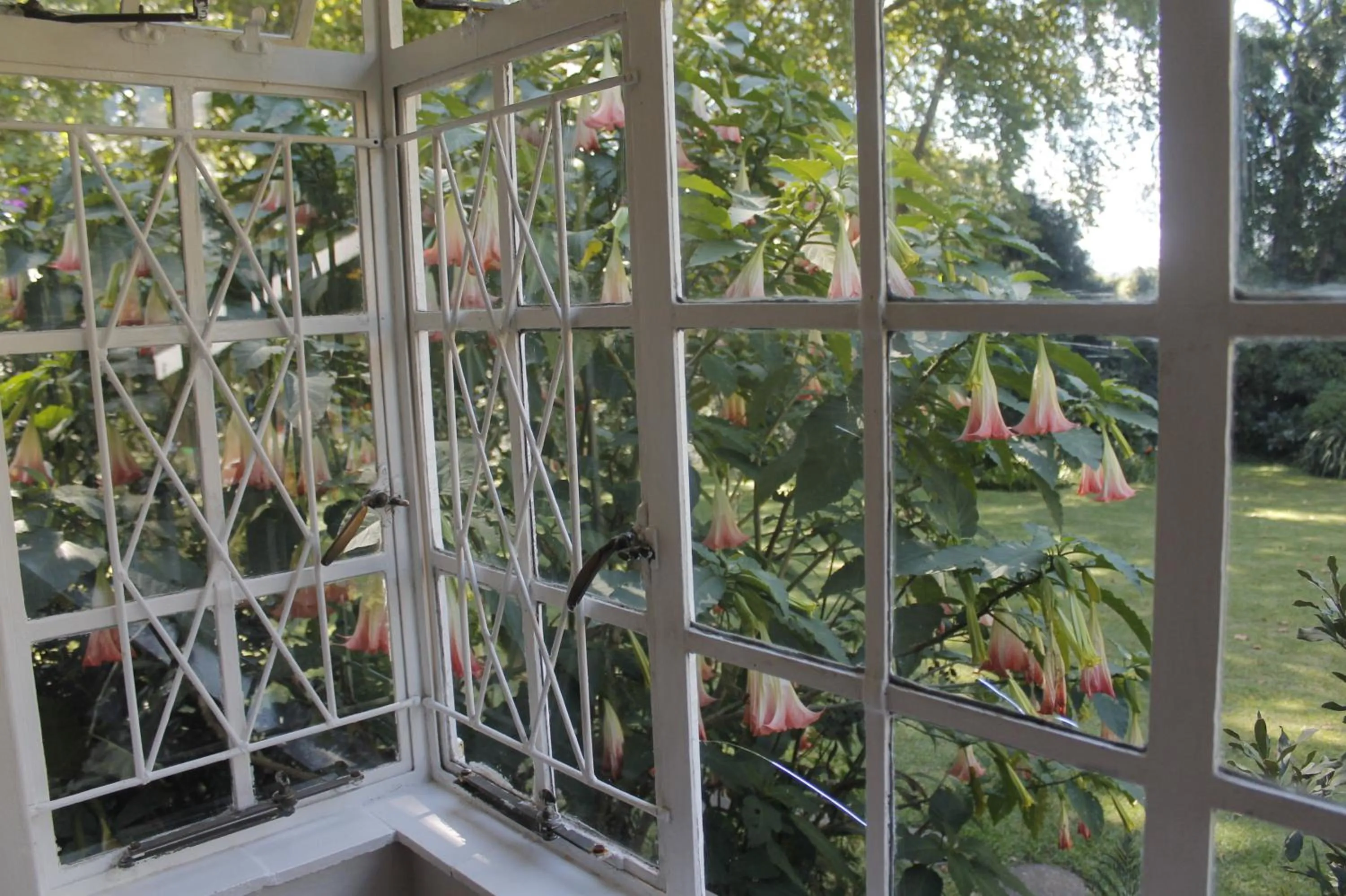 Property building in Umoya