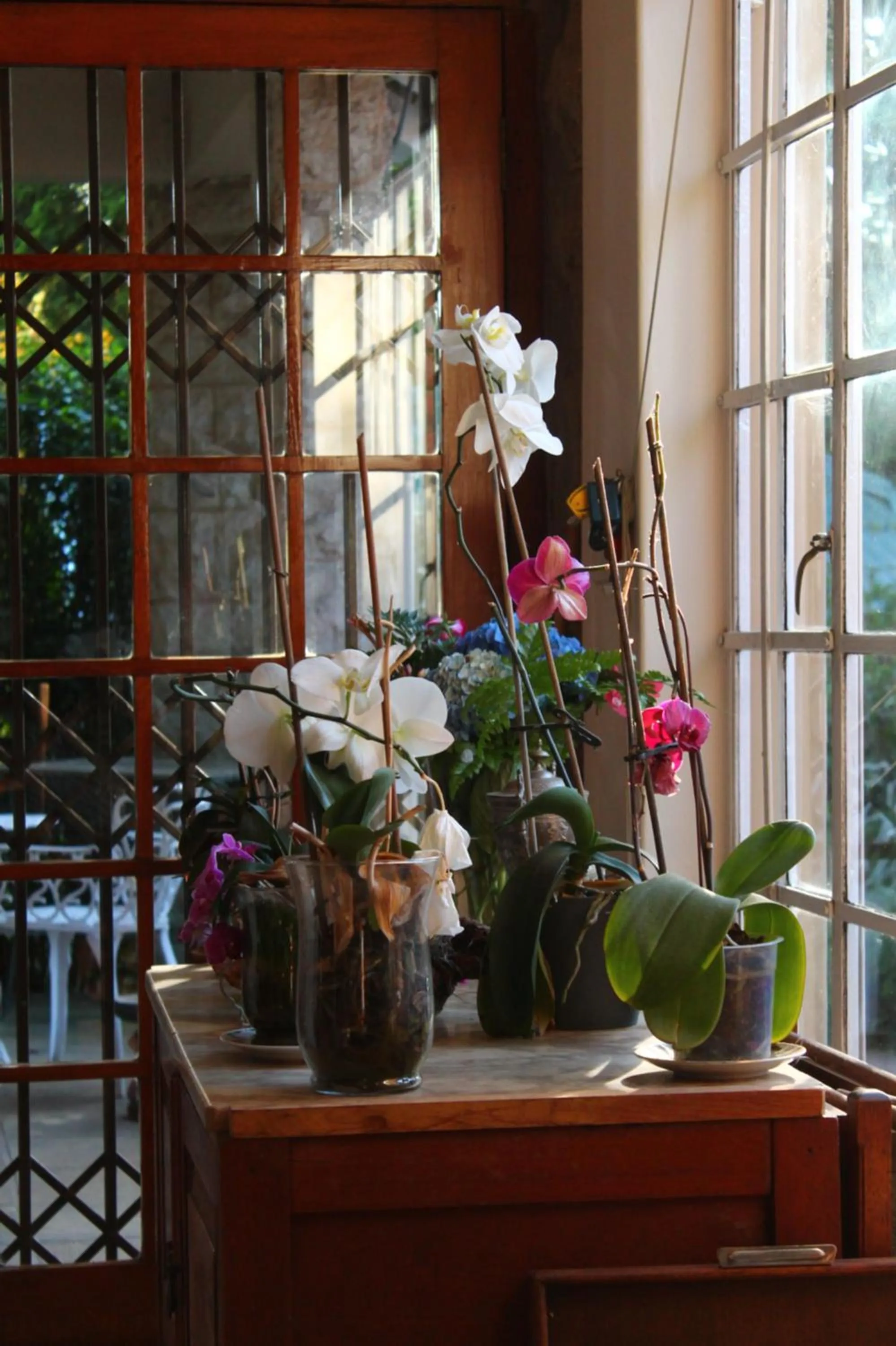 Property building in Umoya