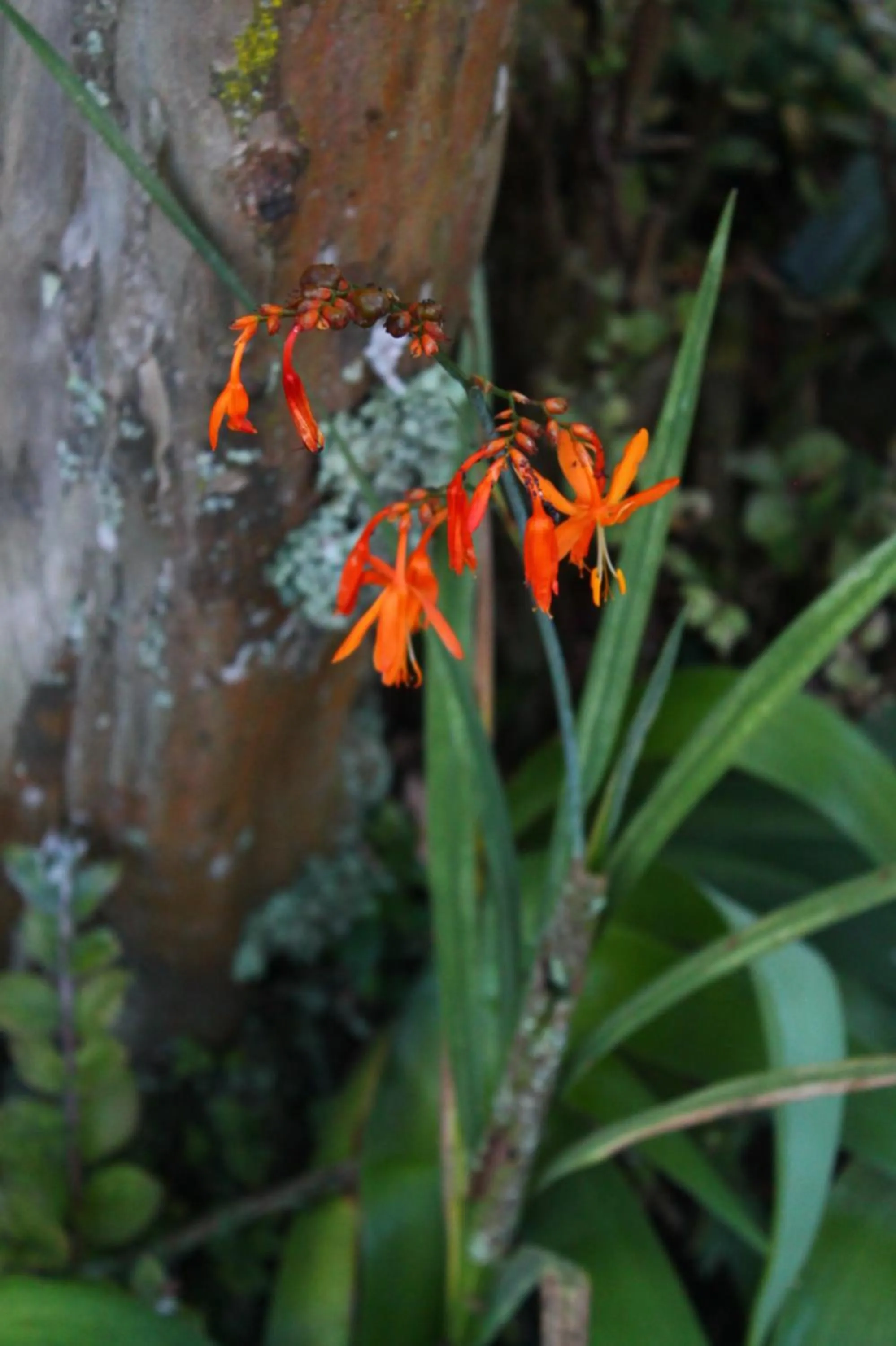 Property building in Umoya