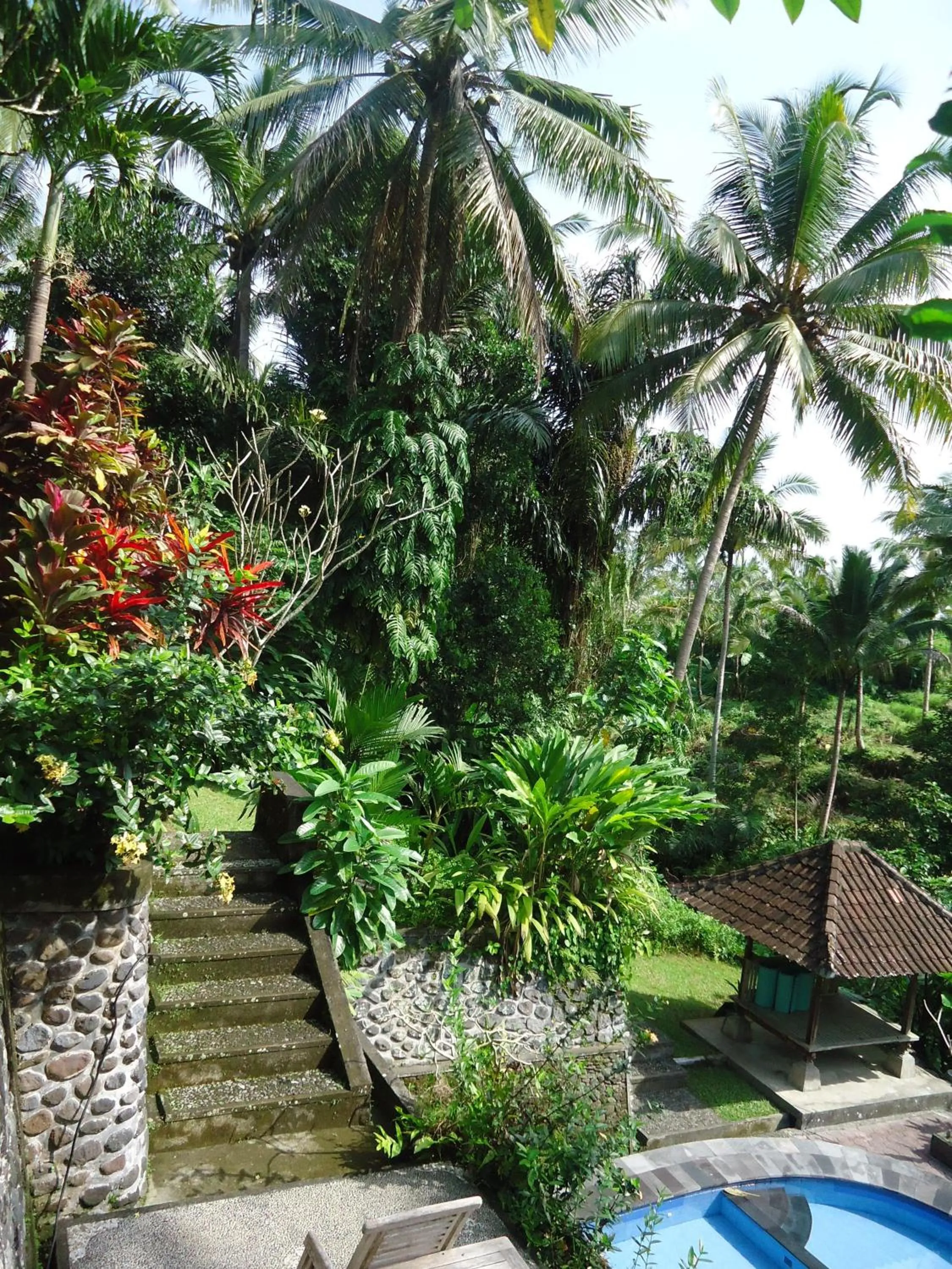 Patio in Sari Wangi Cottage