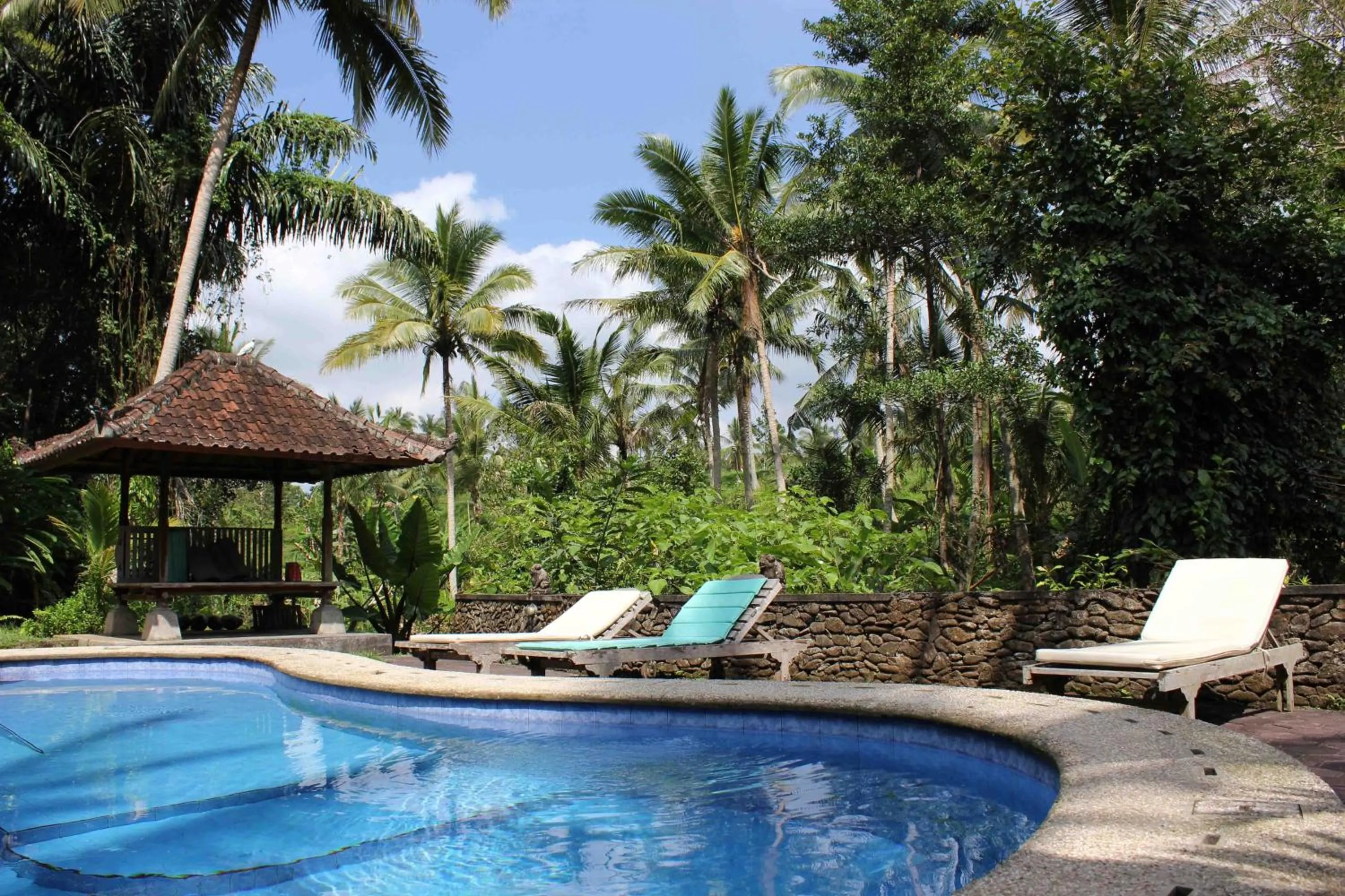Swimming pool in Sari Wangi Cottage