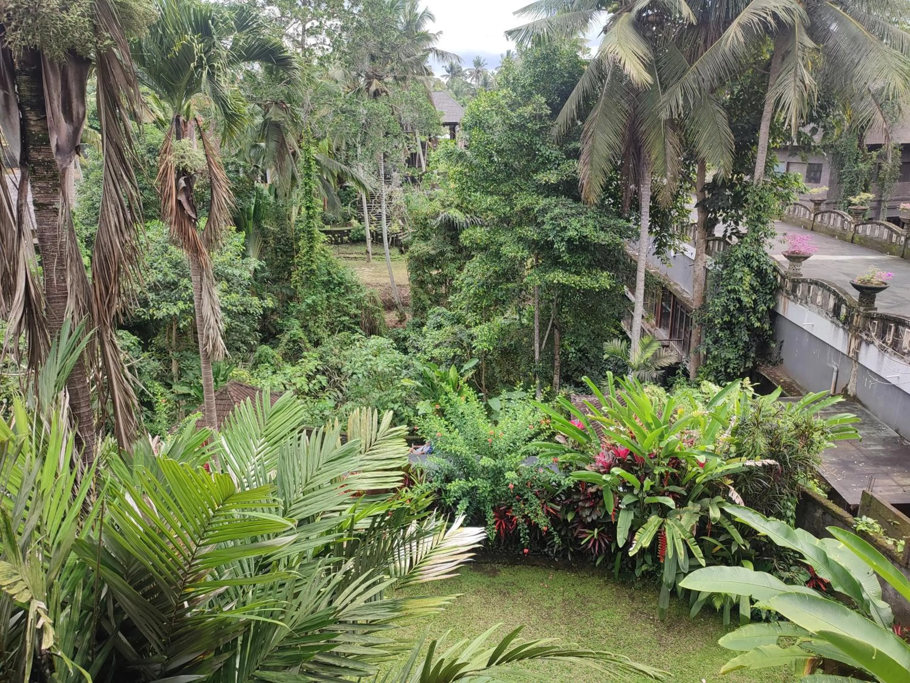 Garden in Sari Wangi Cottage