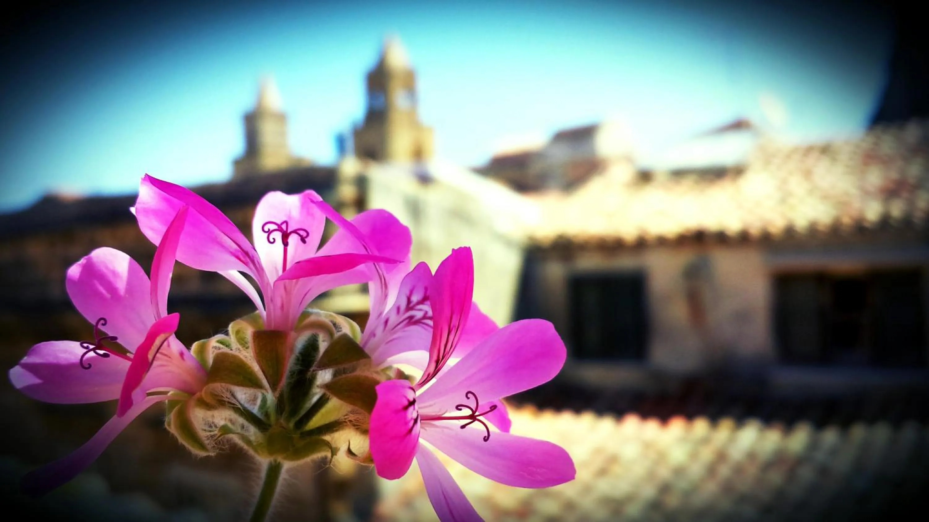 View (from property/room) in Bed and Breakfast L&P