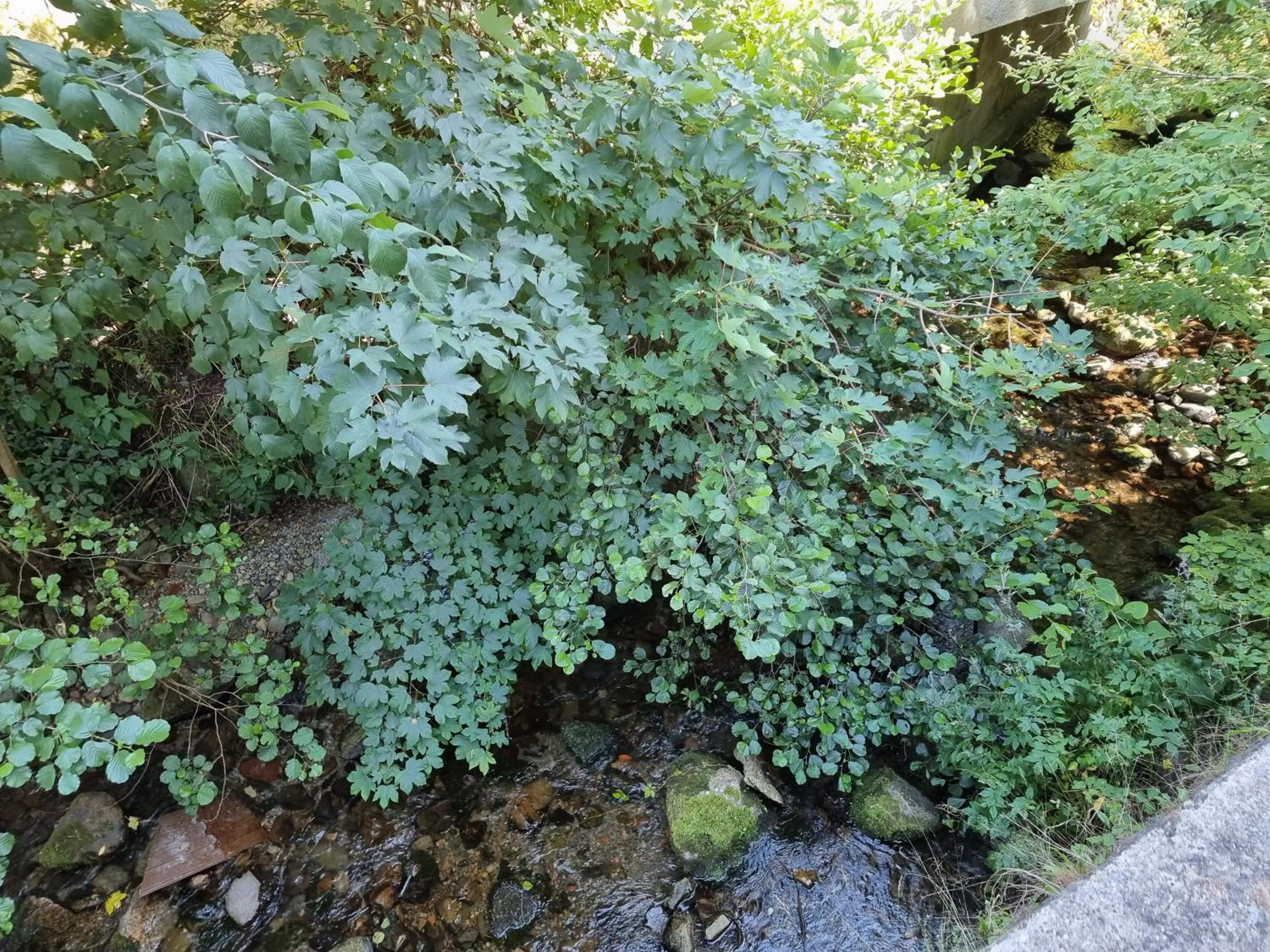River view in Chambres d'hôtes A la Fecht Nature et Bien-être
