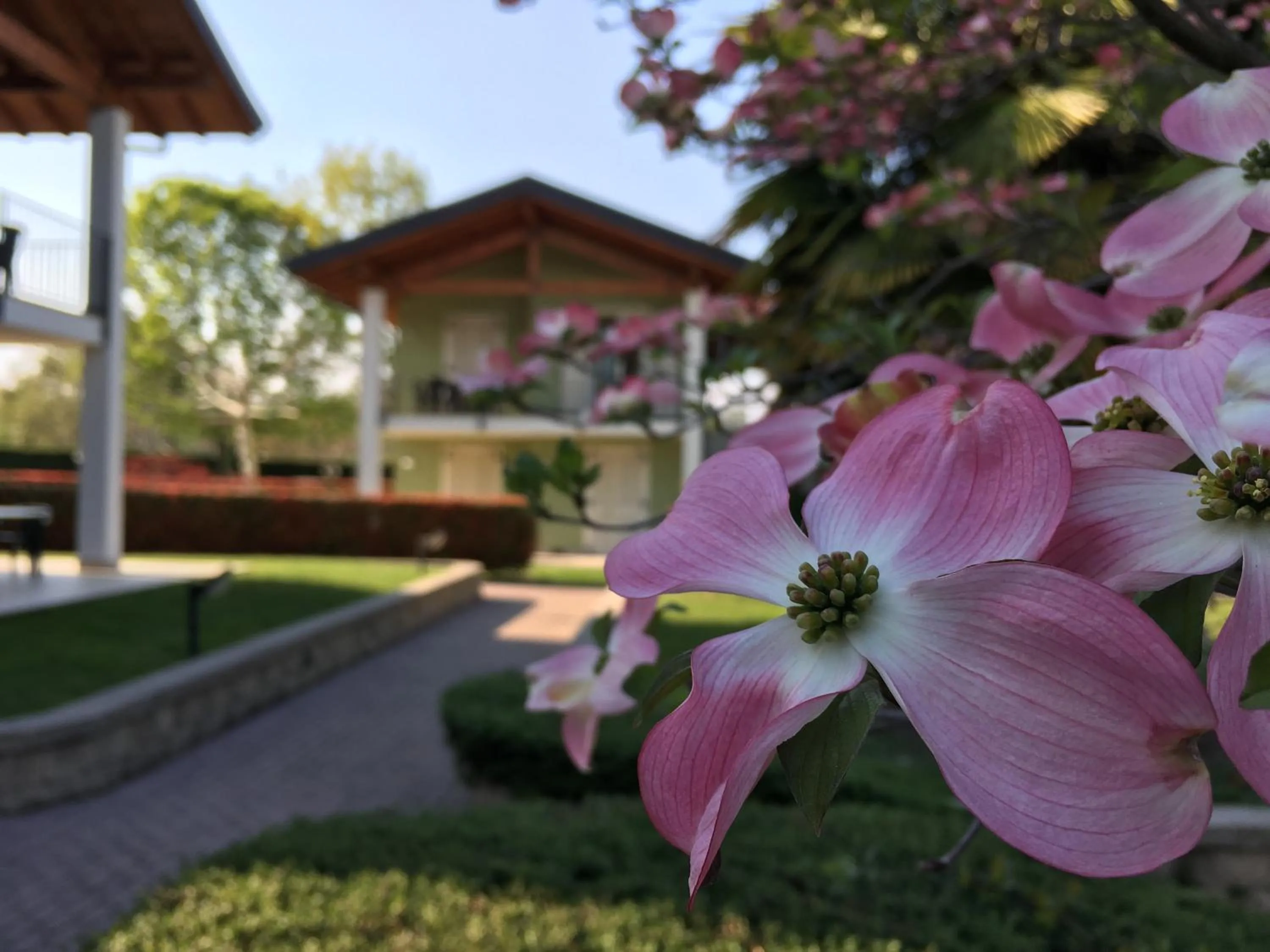 Garden view in Residence Alice