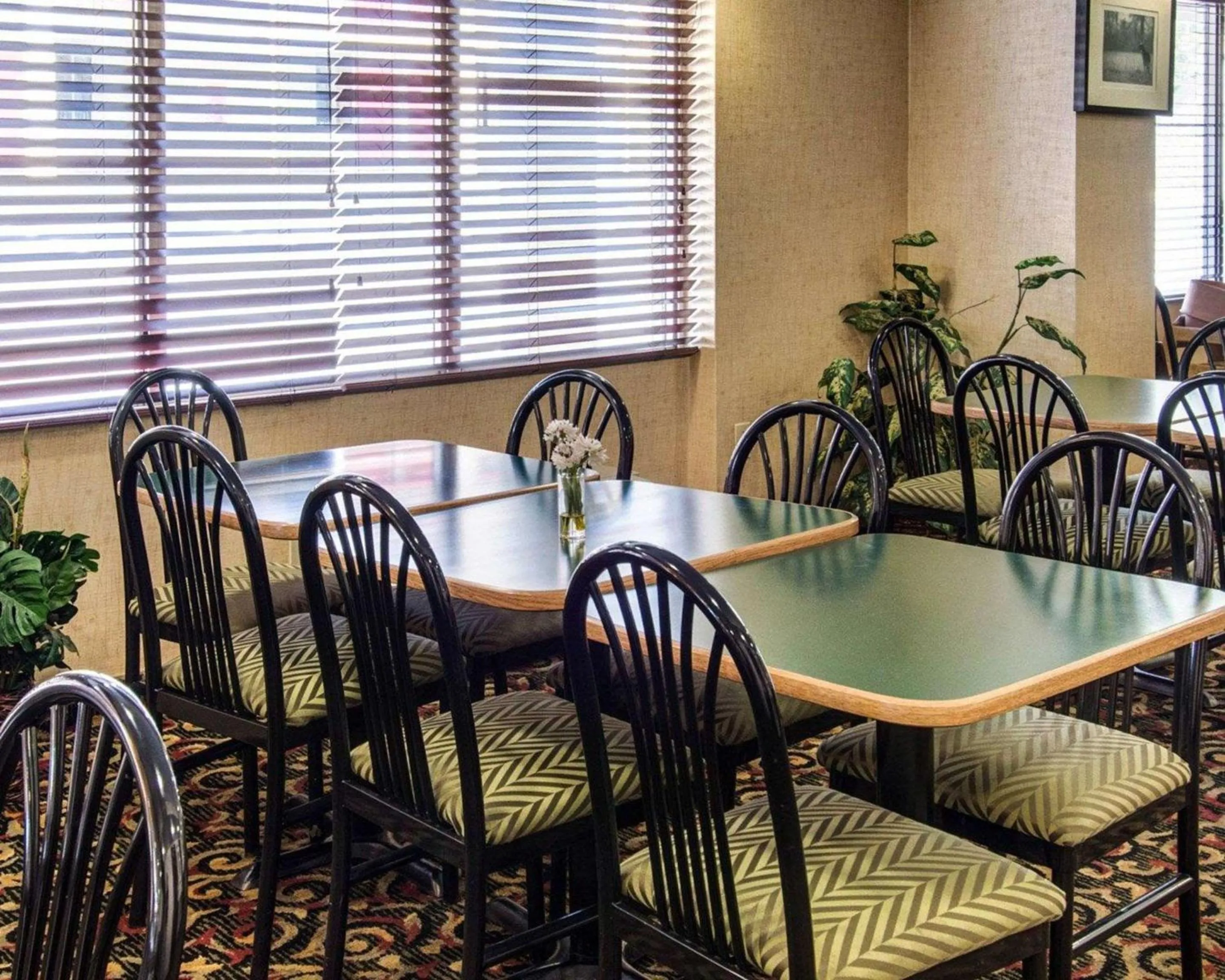 Restaurant/places to eat in Quality Inn Takoma Park