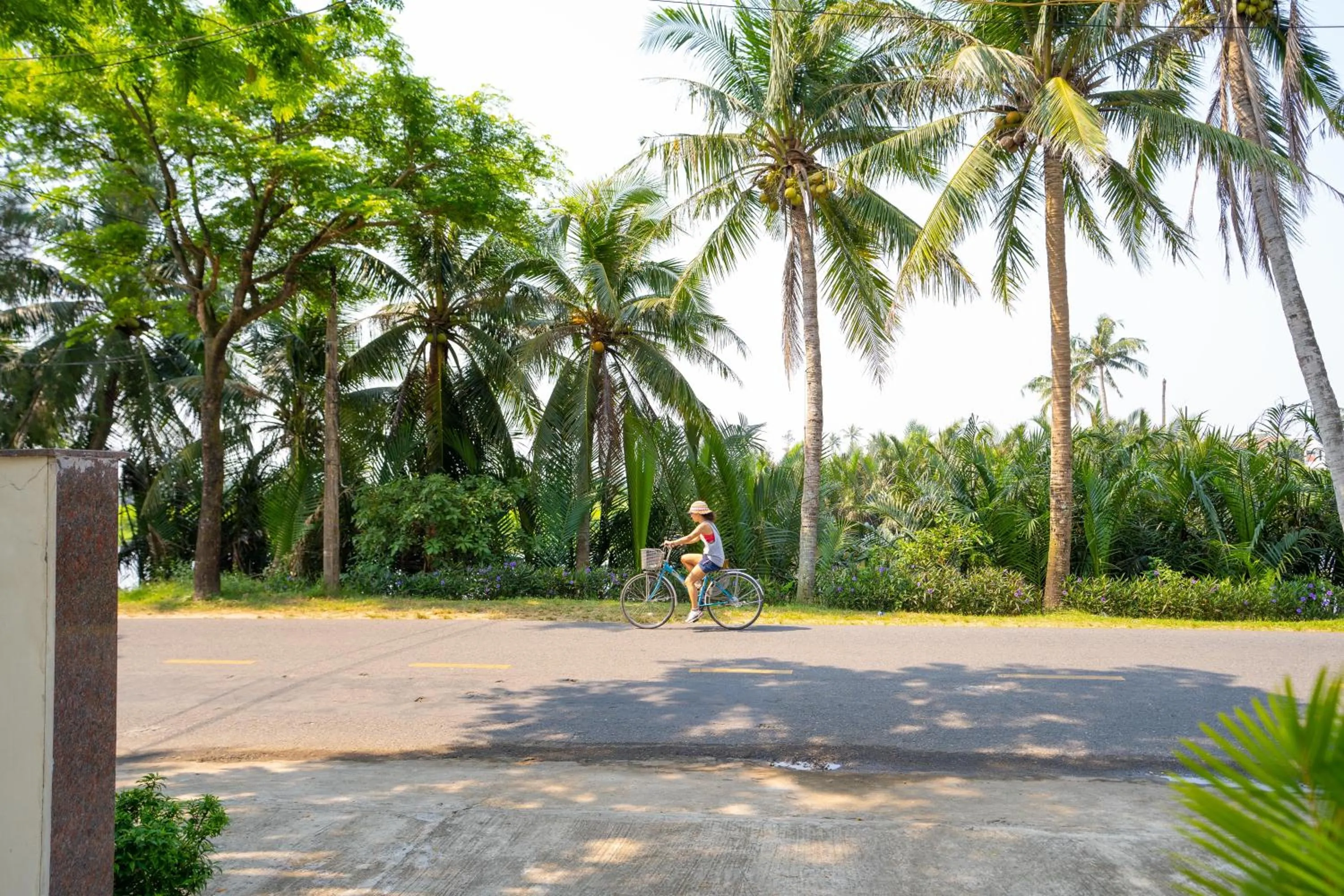 Spring in Haemer Villa Hoi An