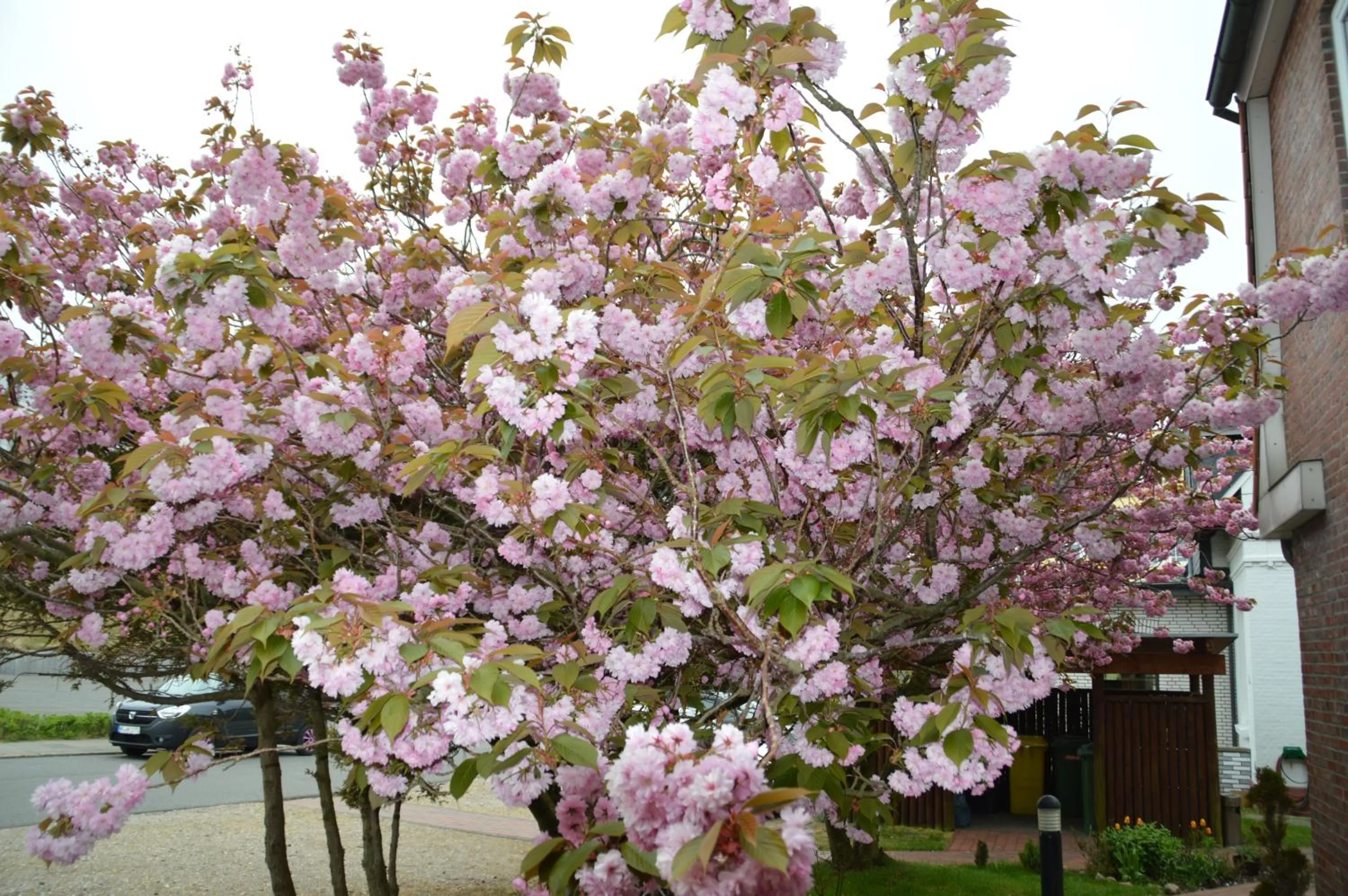 View (from property/room) in Hotel Südstrand Amrum