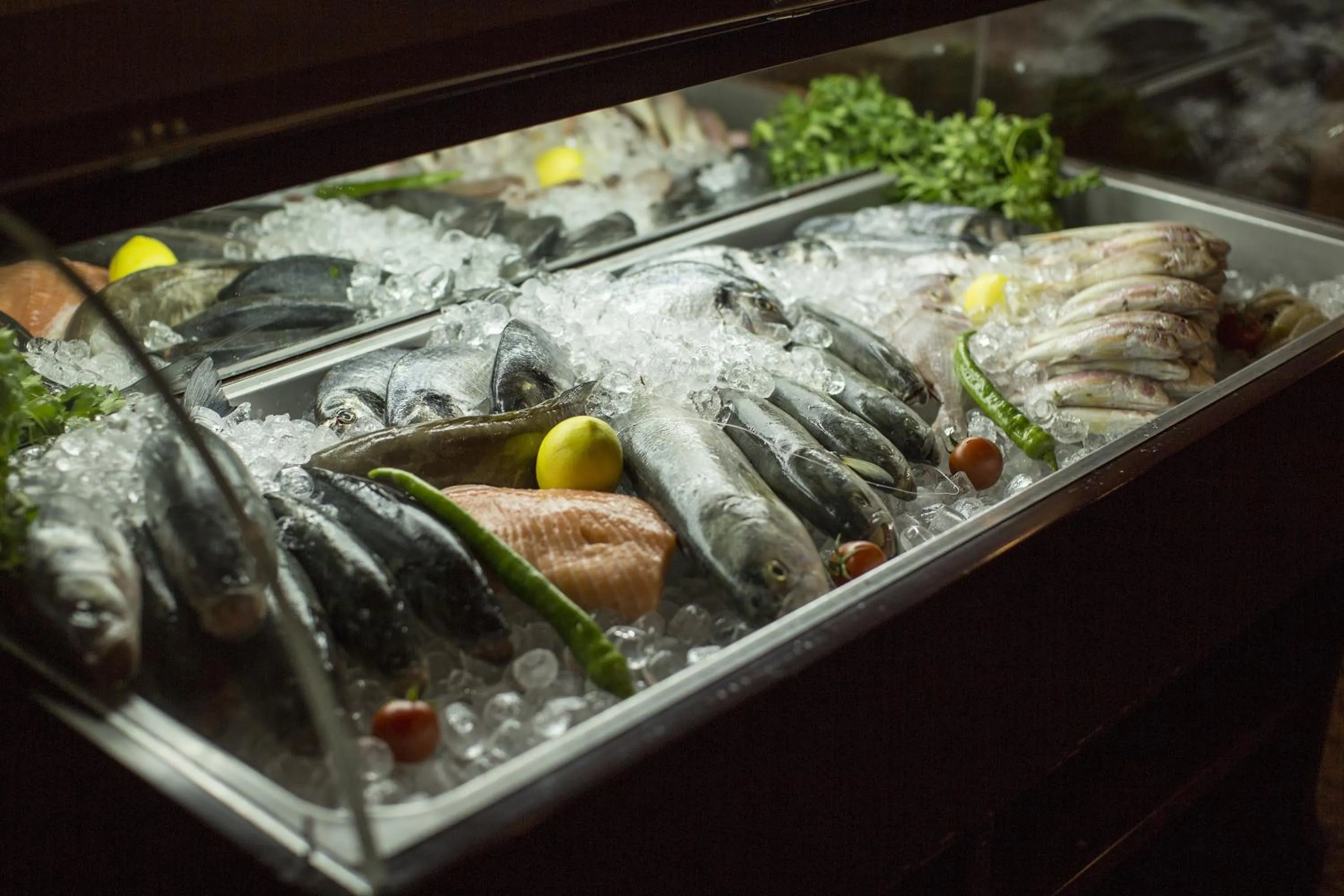 Restaurant/places to eat in Teymur Continental Hotel