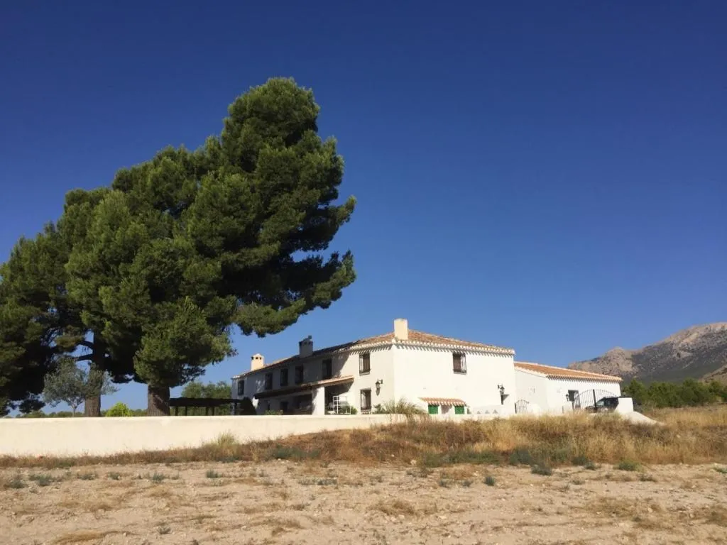 B&B Cortijo El Ciruelo